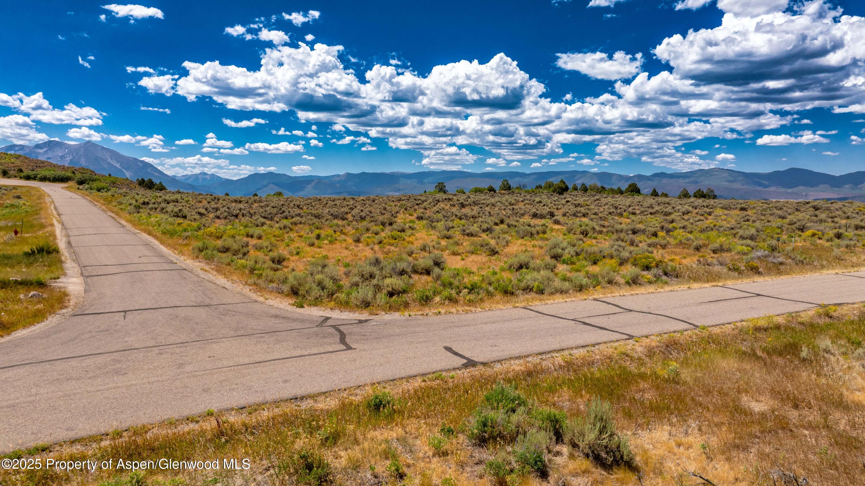 82 Saddle Drive Carbondale CO 81623