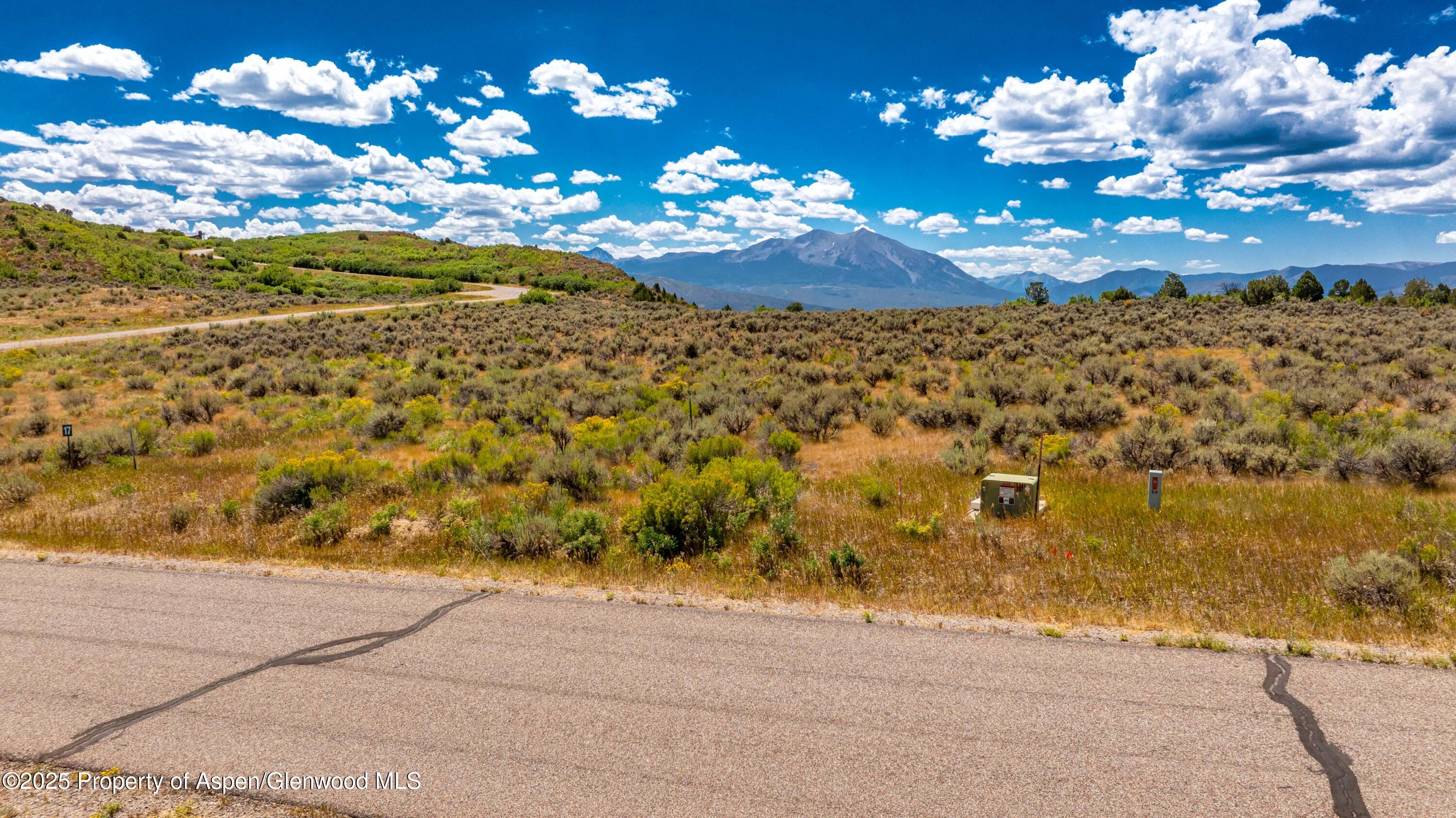 82 Saddle Drive Carbondale CO 81623