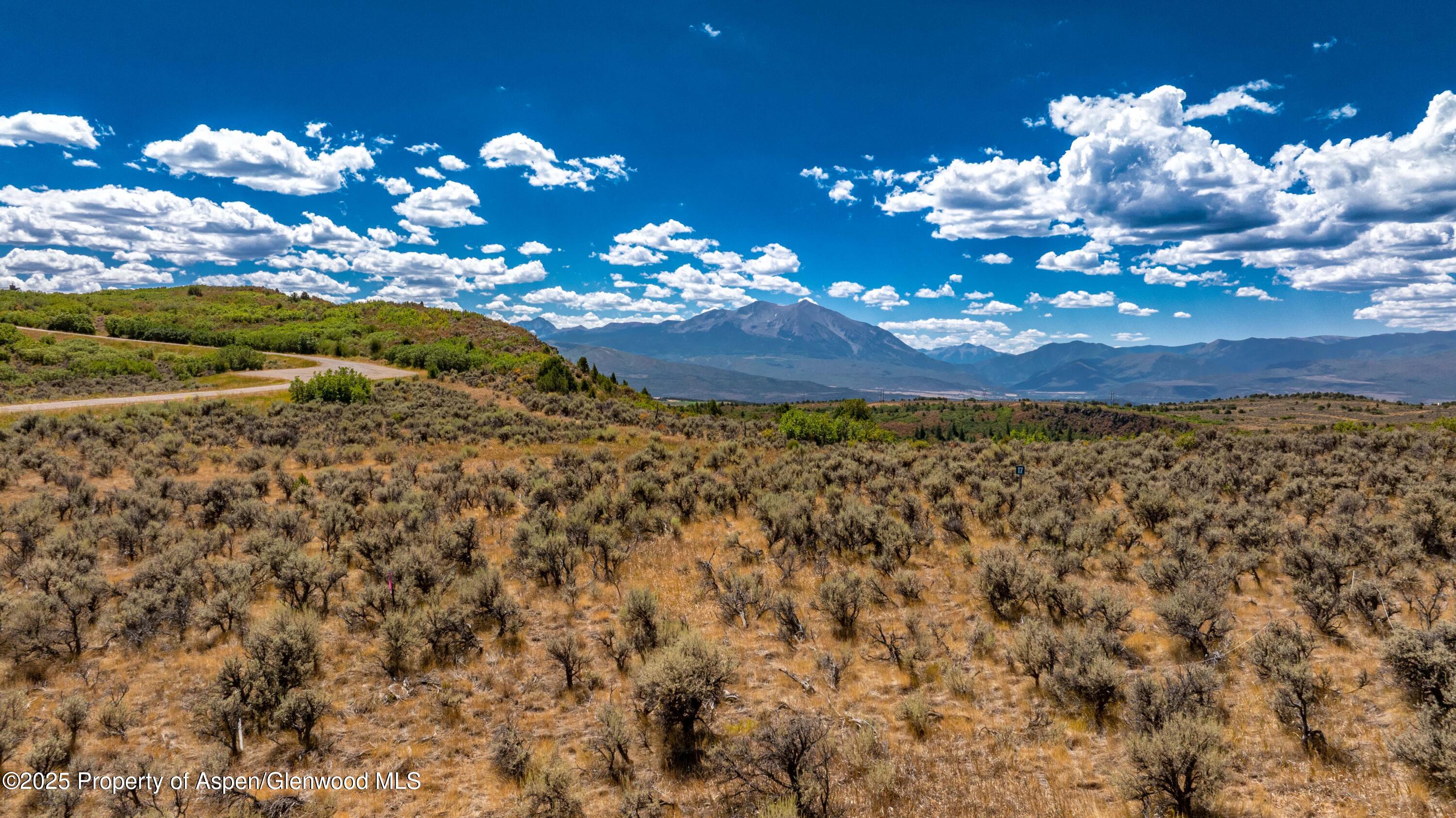 82 Saddle Drive Carbondale CO 81623