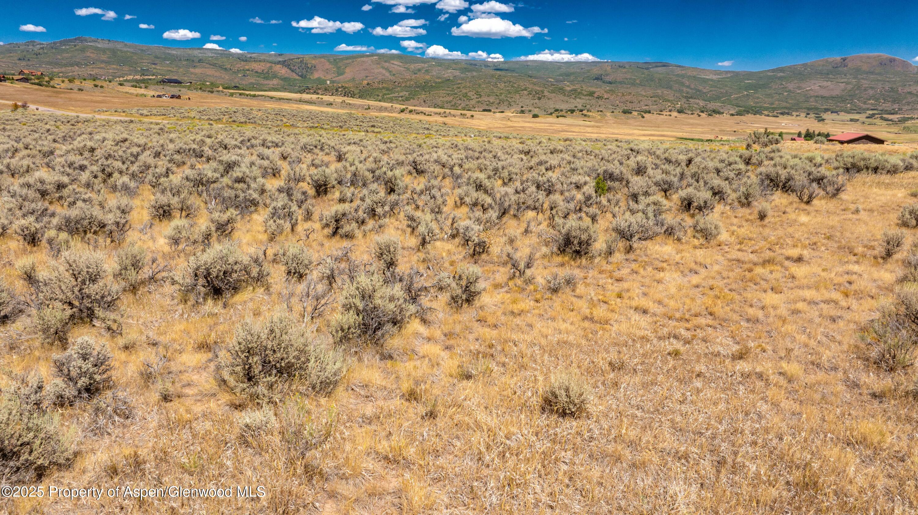 82 Saddle Drive Carbondale CO 81623