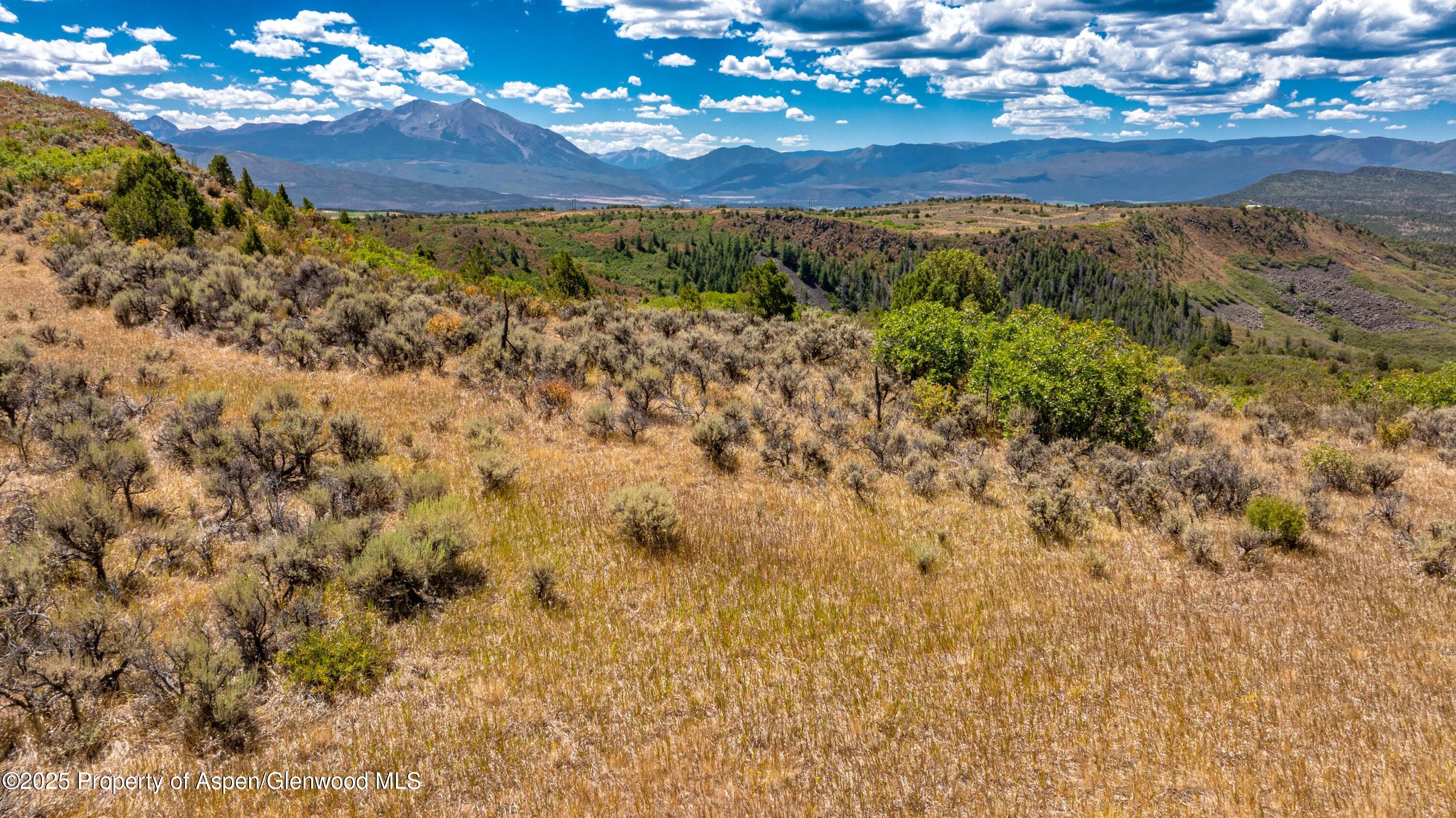 82 Saddle Drive Carbondale CO 81623