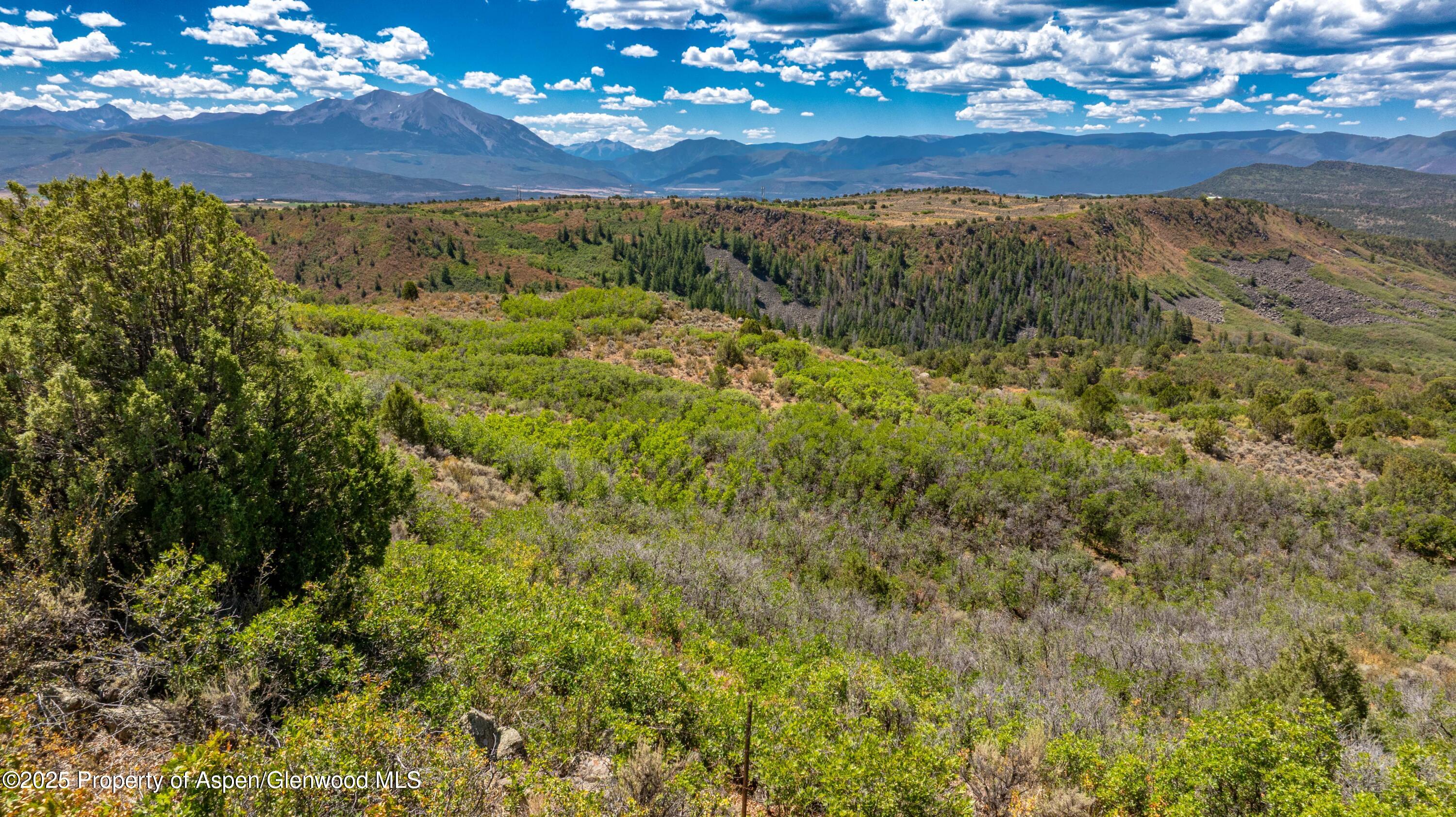 82 Saddle Drive Carbondale CO 81623