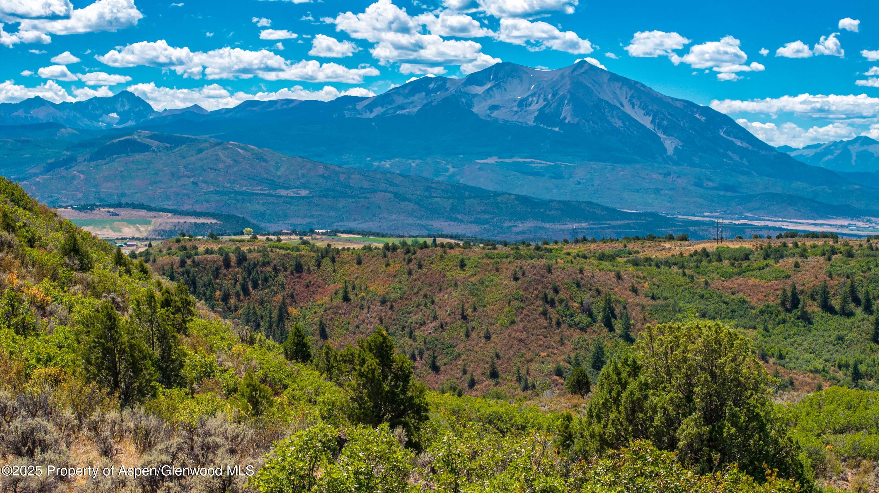 82 Saddle Drive Carbondale CO 81623