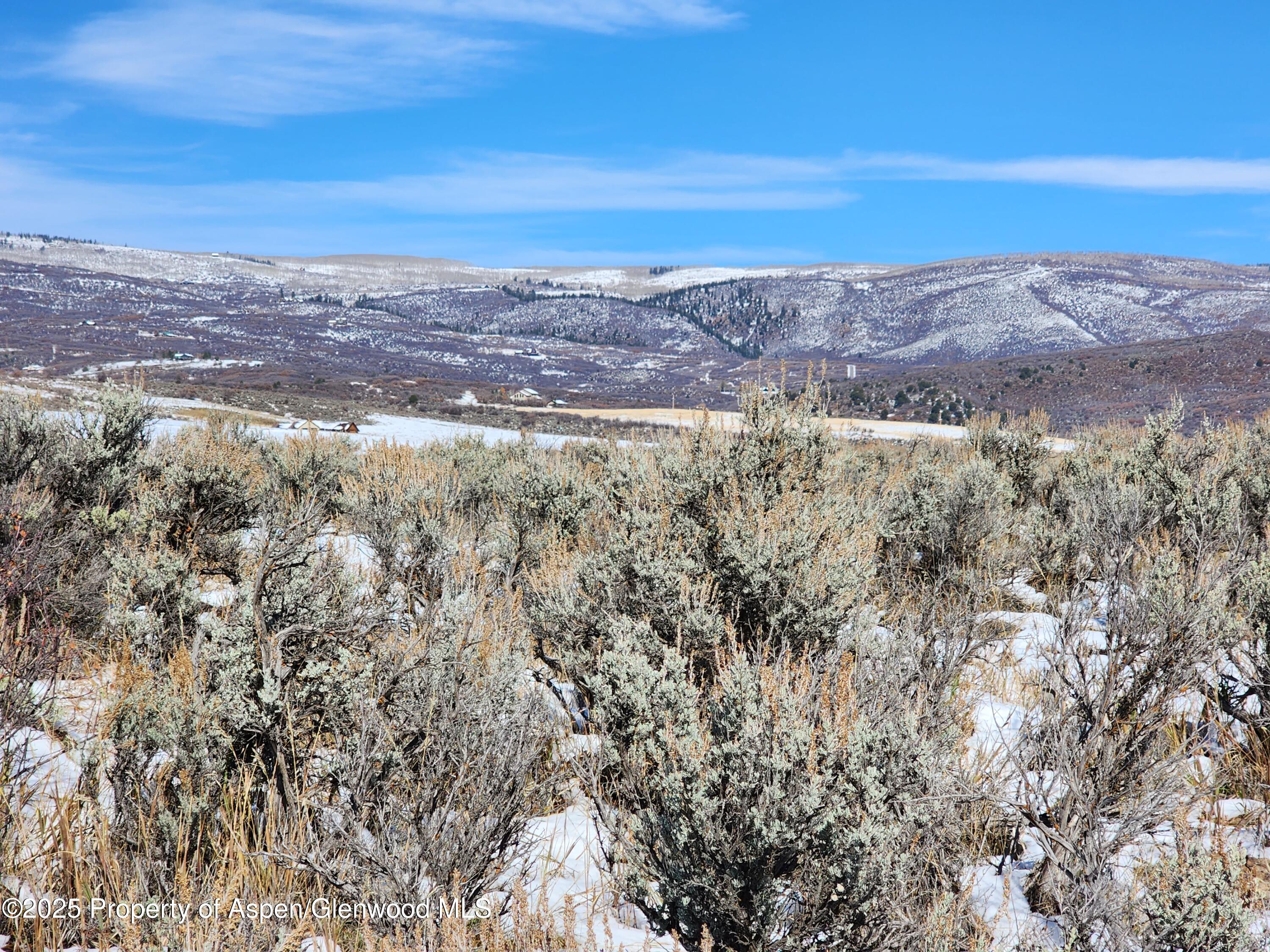 82 Saddle Drive Carbondale CO 81623