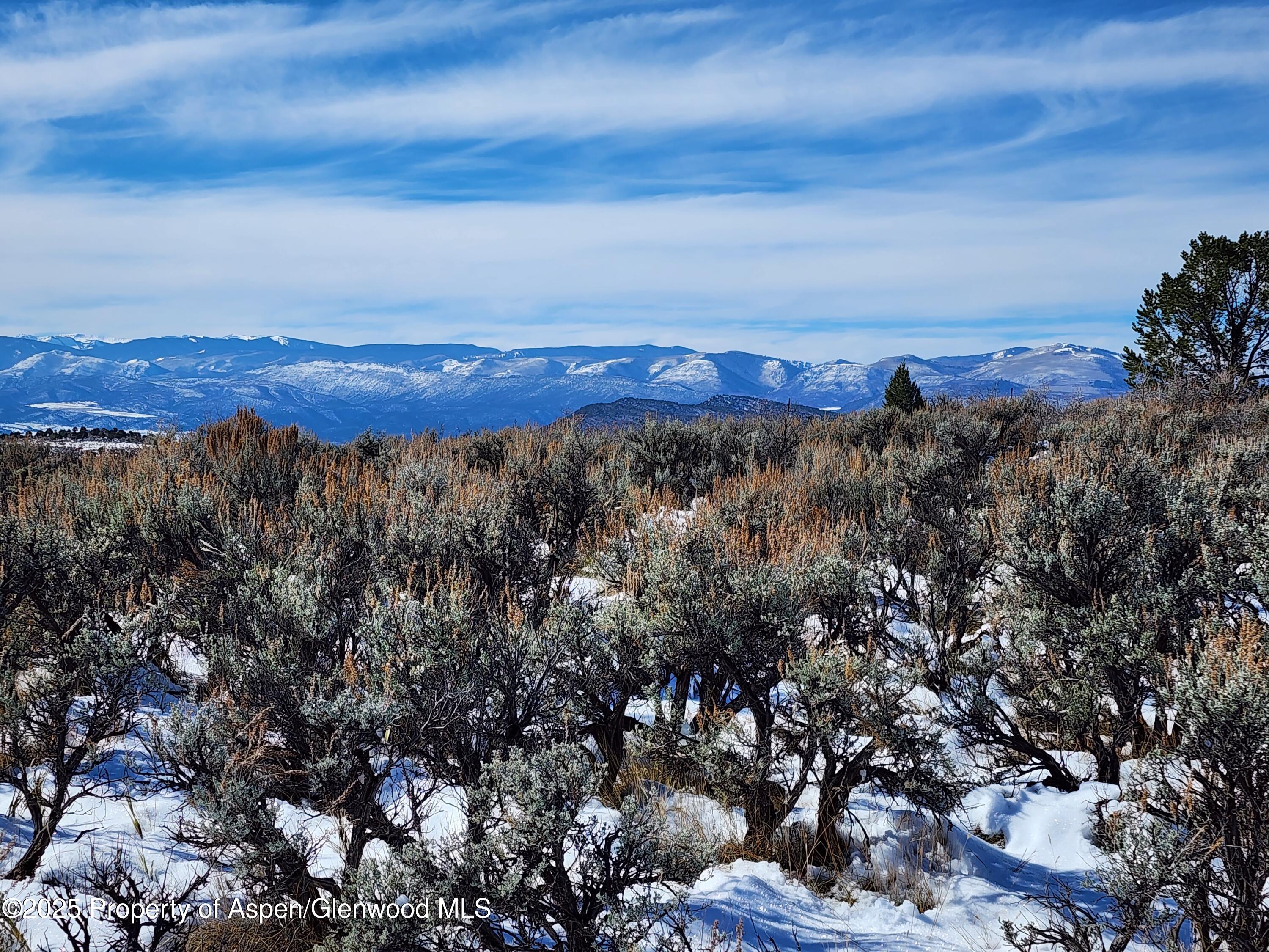 82 Saddle Drive Carbondale CO 81623