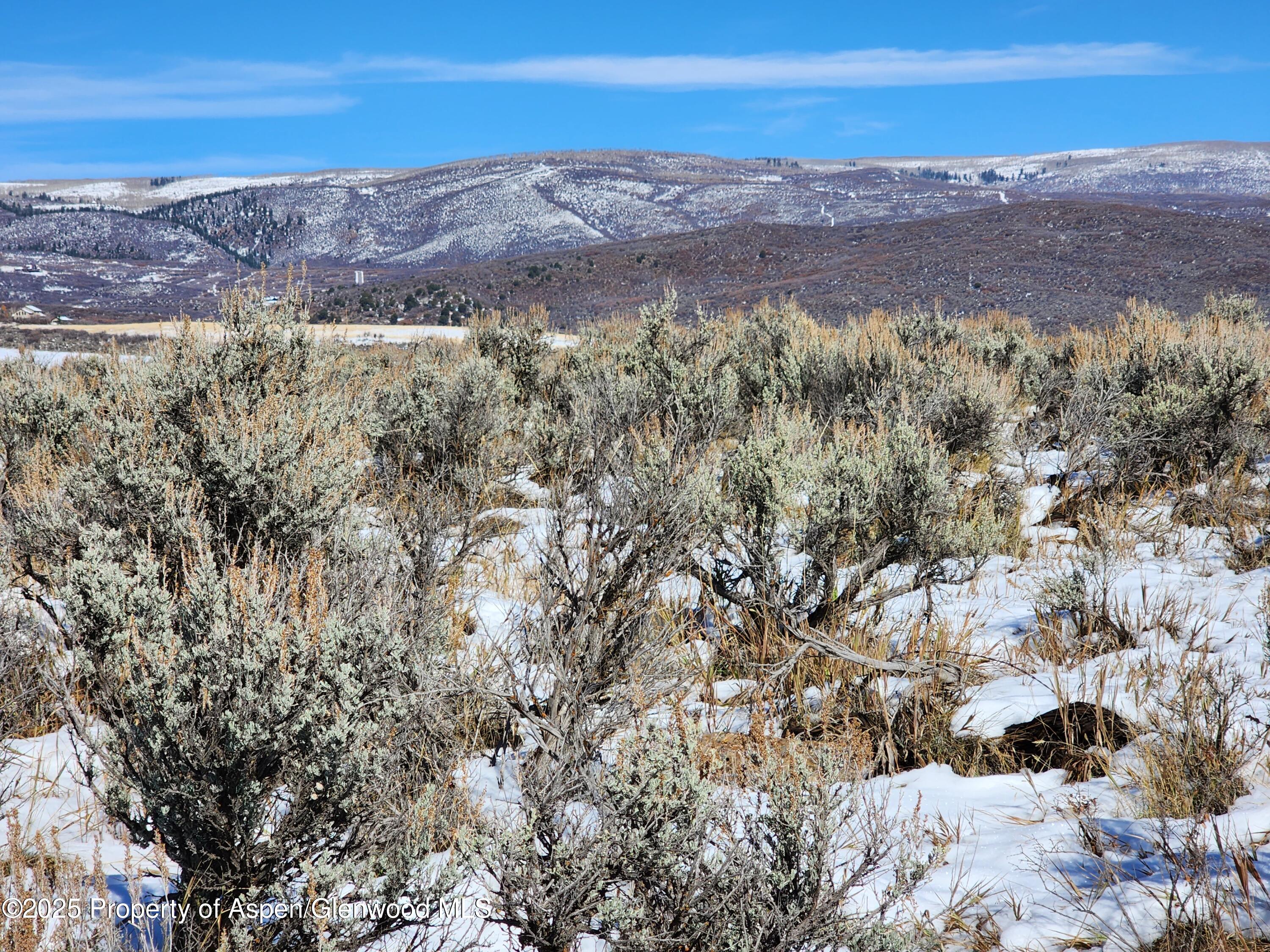 82 Saddle Drive Carbondale CO 81623