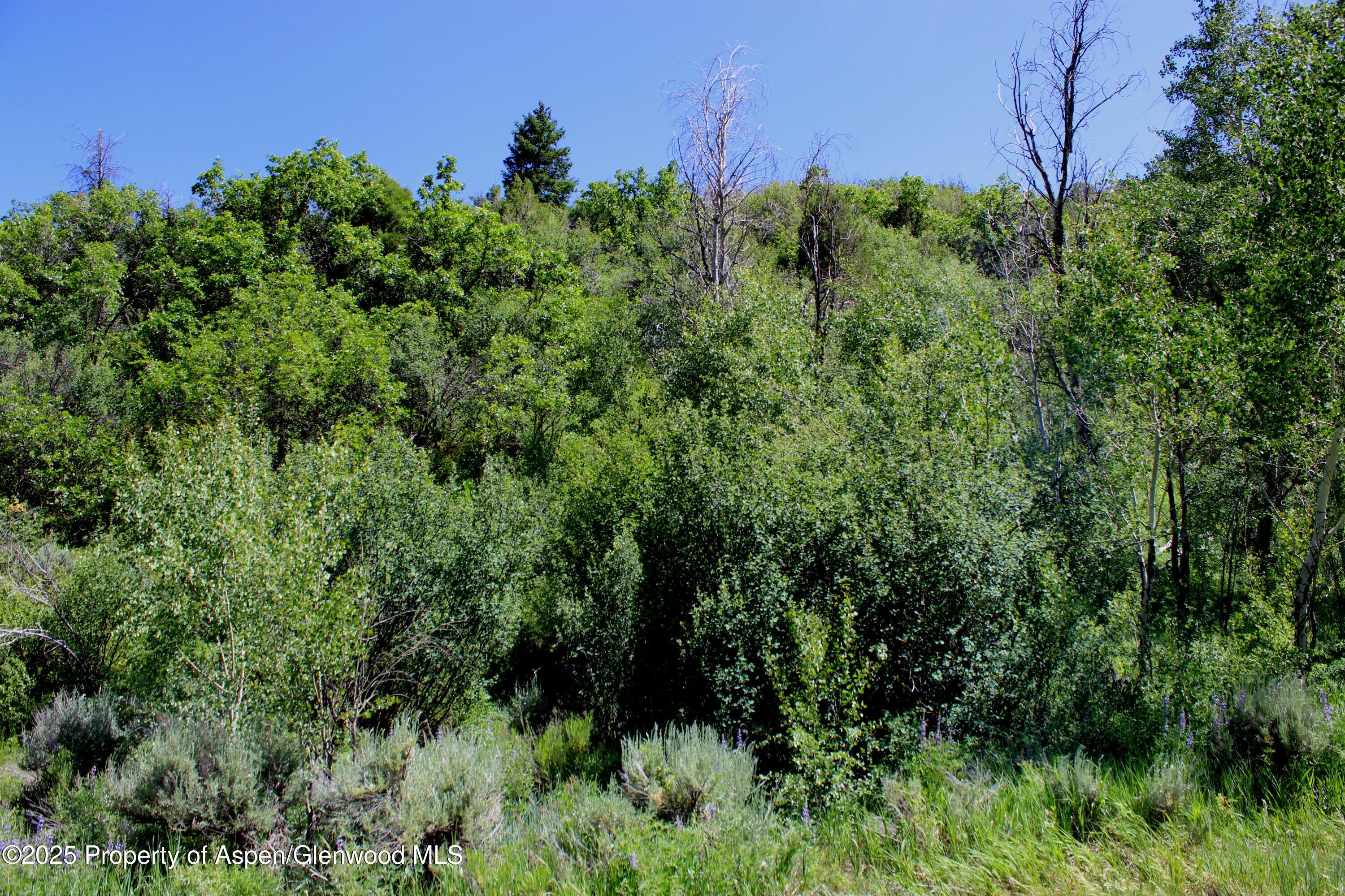 Tbd Shield O Road Snowmass CO 81654