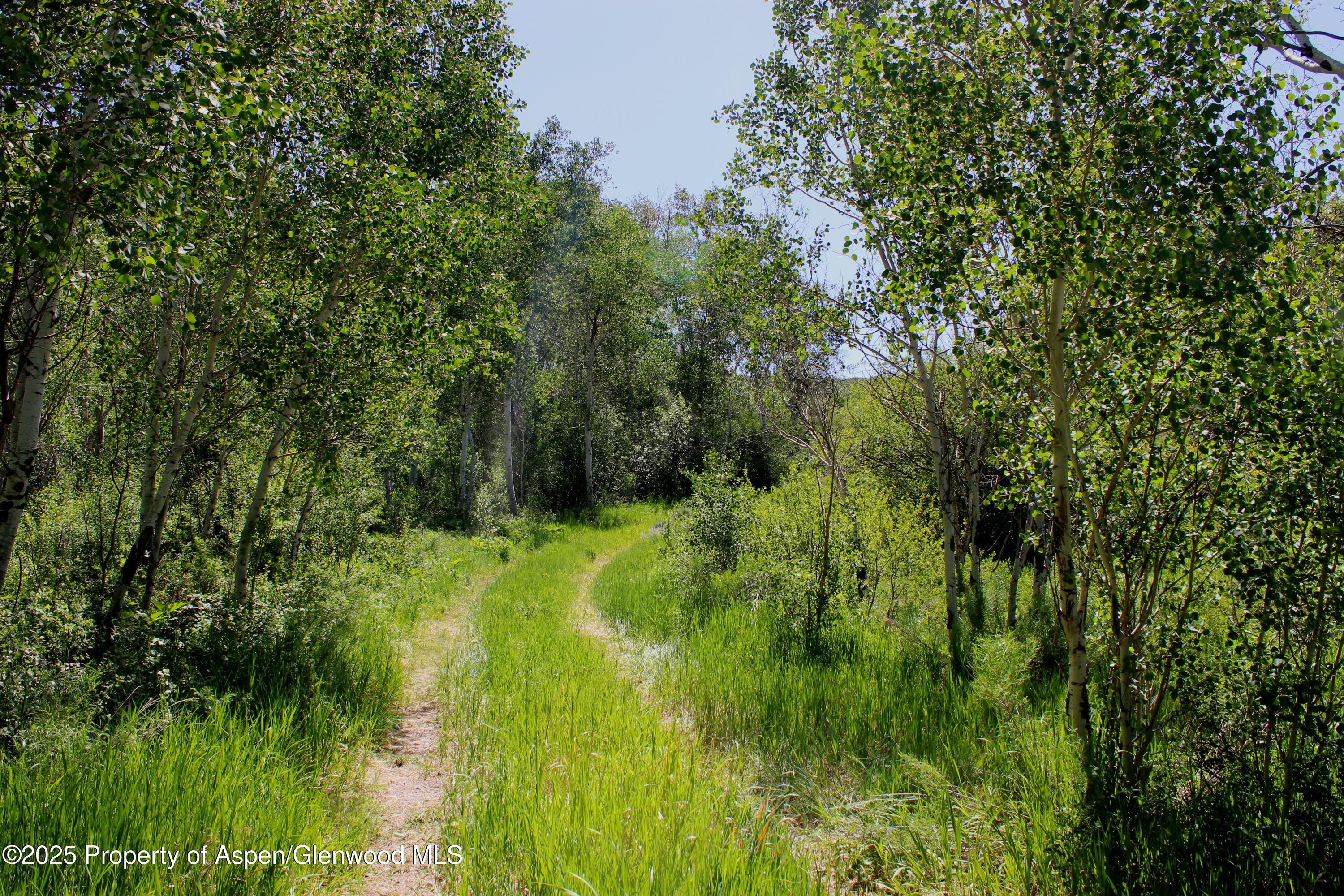 Tbd Shield O Road Snowmass CO 81654