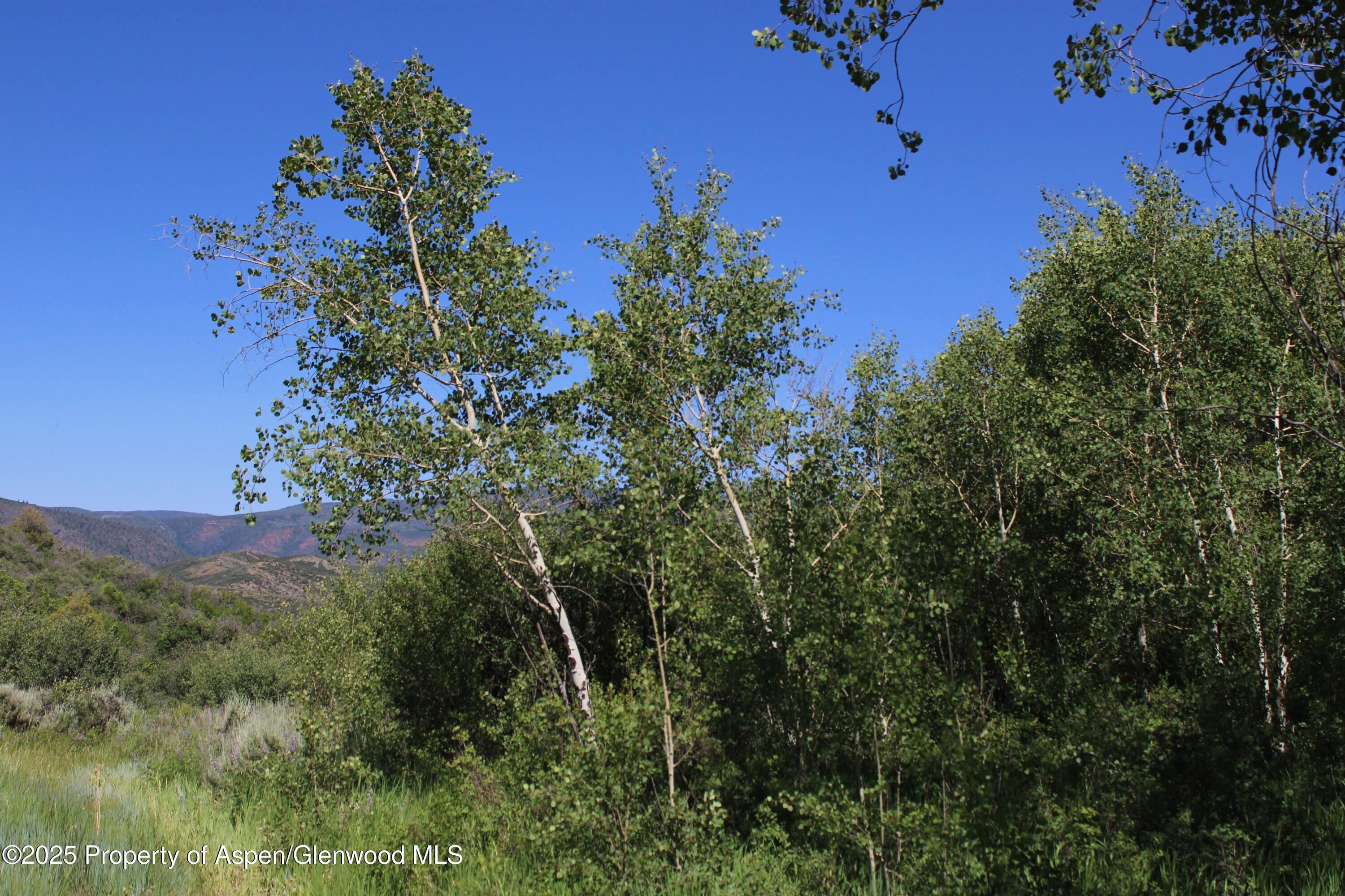 Tbd Shield O Road Snowmass CO 81654