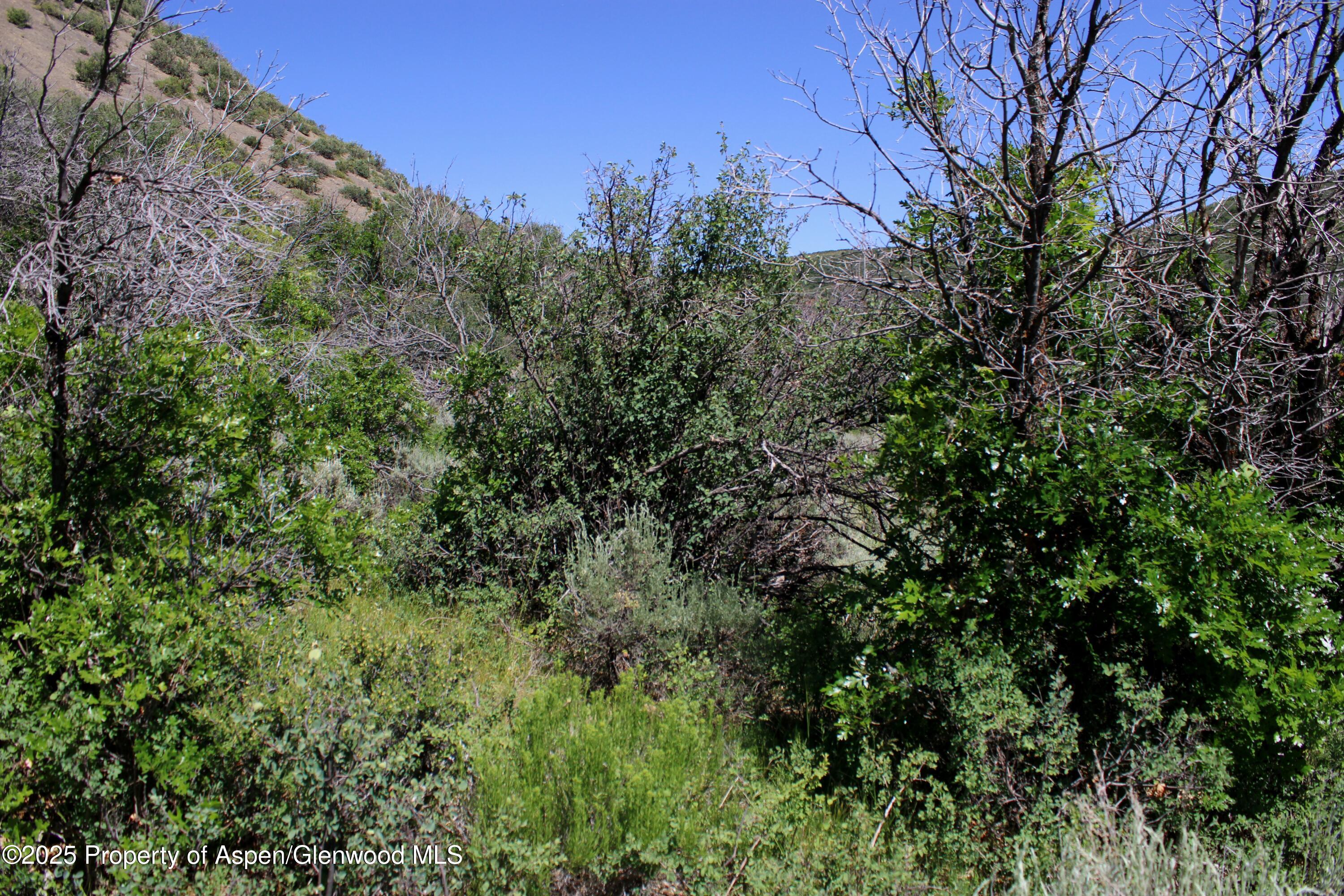 Tbd Shield O Road Snowmass CO 81654