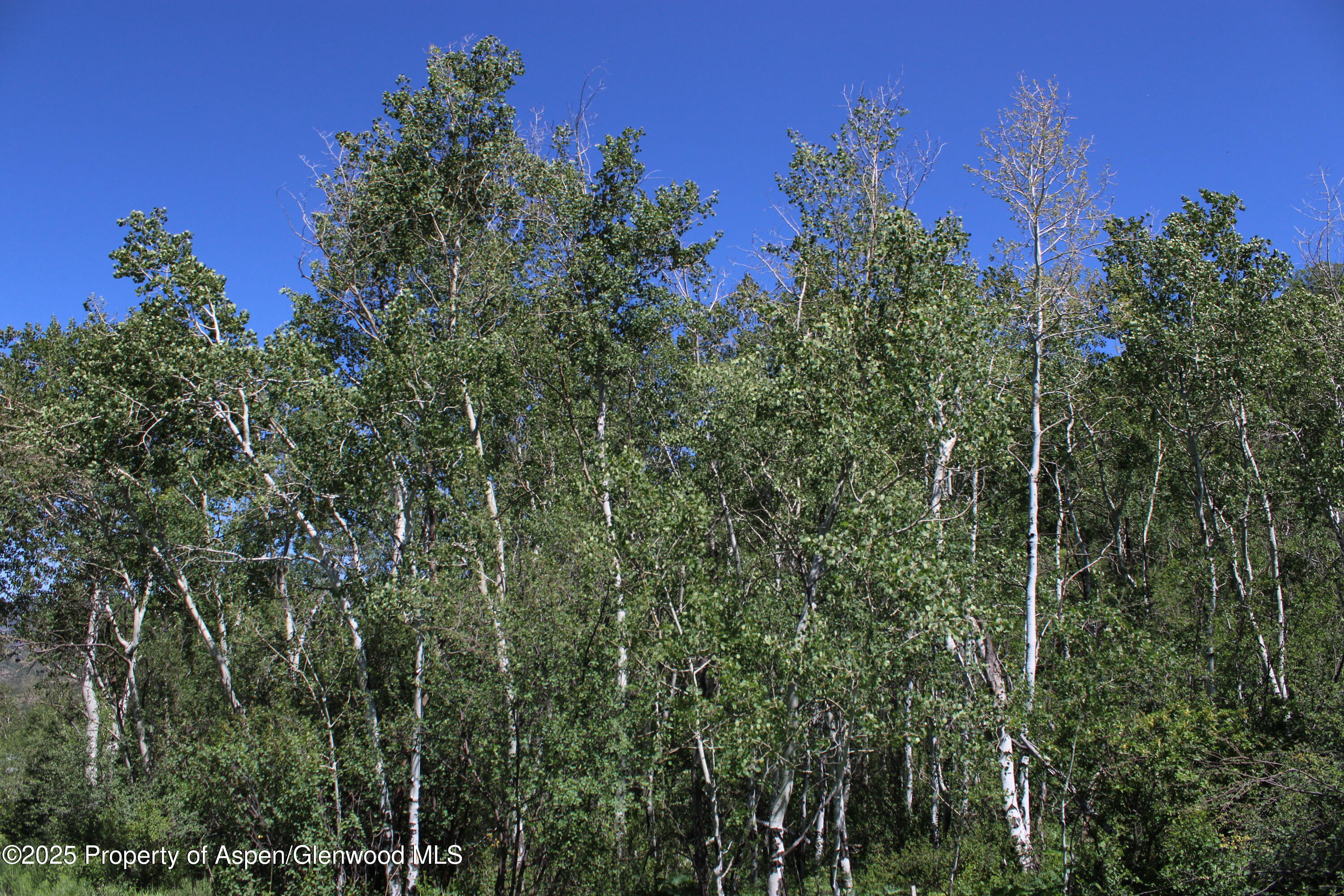 Tbd Shield O Road Snowmass CO 81654