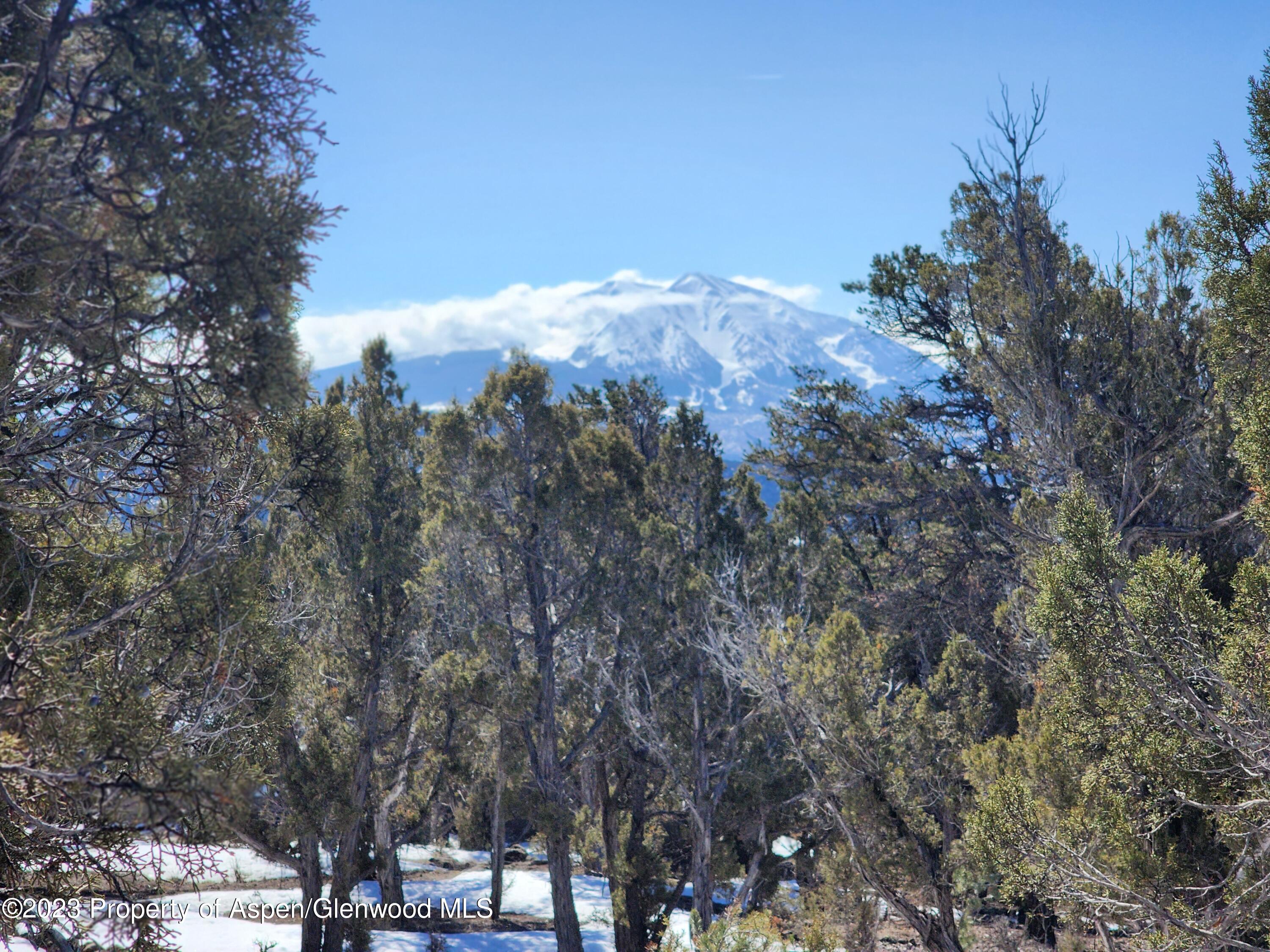 313 Cedar Cove Glenwood Springs CO 81601