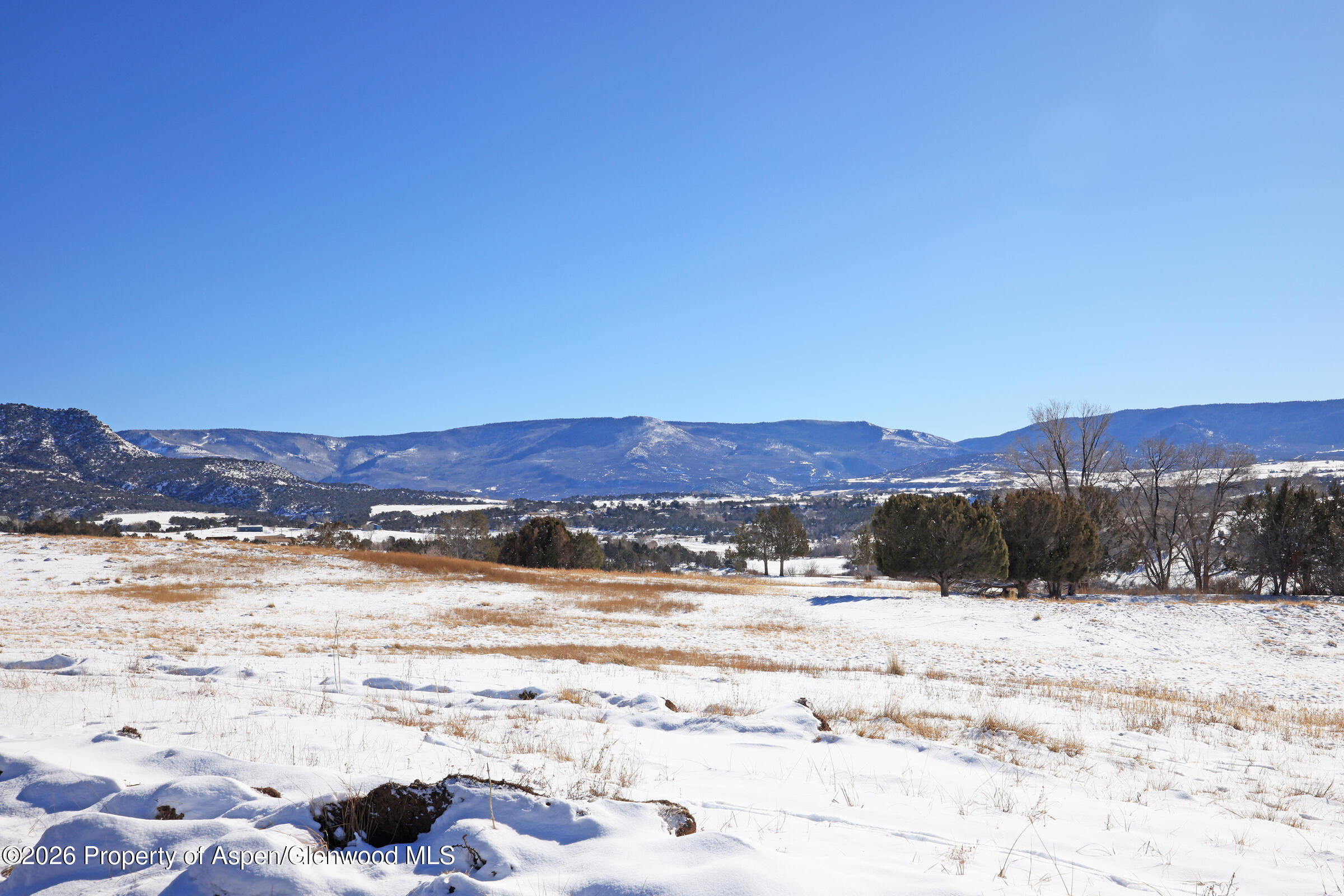 58798 Delores Drive Collbran CO 81624