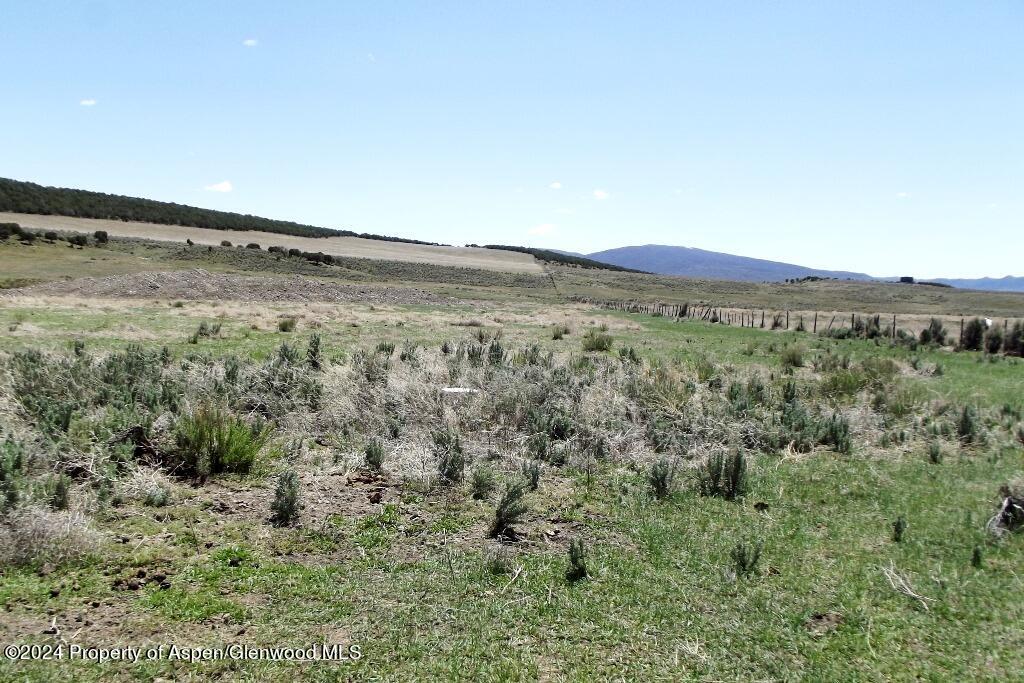 Tbd County Road 15 Meeker CO 81641