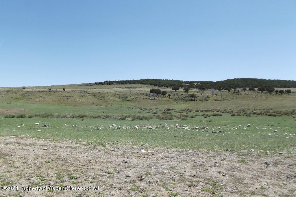 Tbd County Road 15 Meeker CO 81641