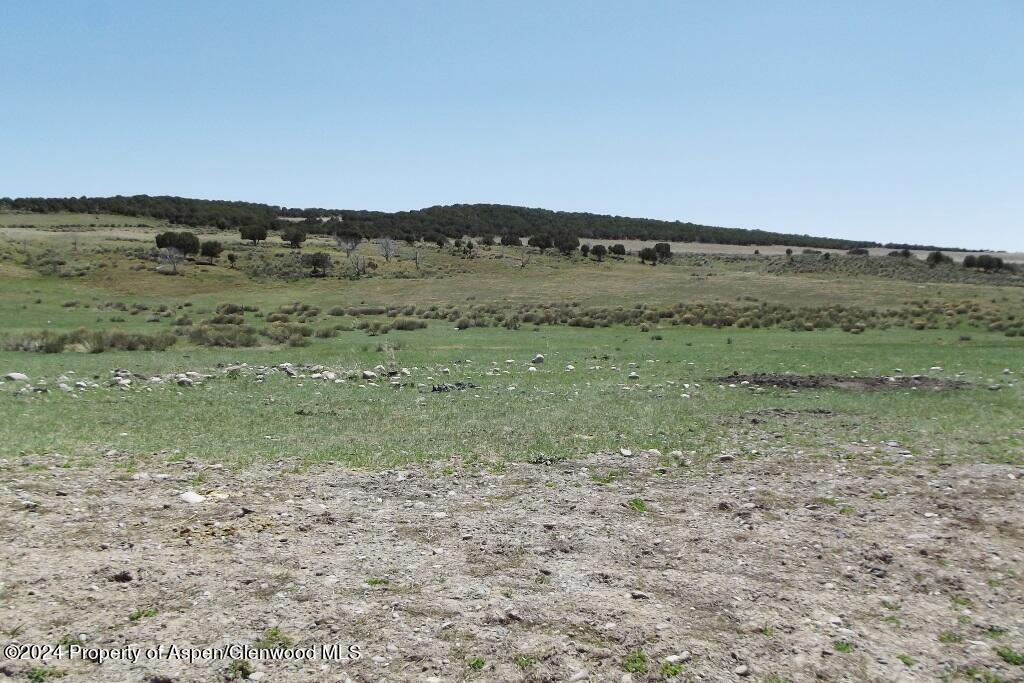 Tbd County Road 15 Meeker CO 81641