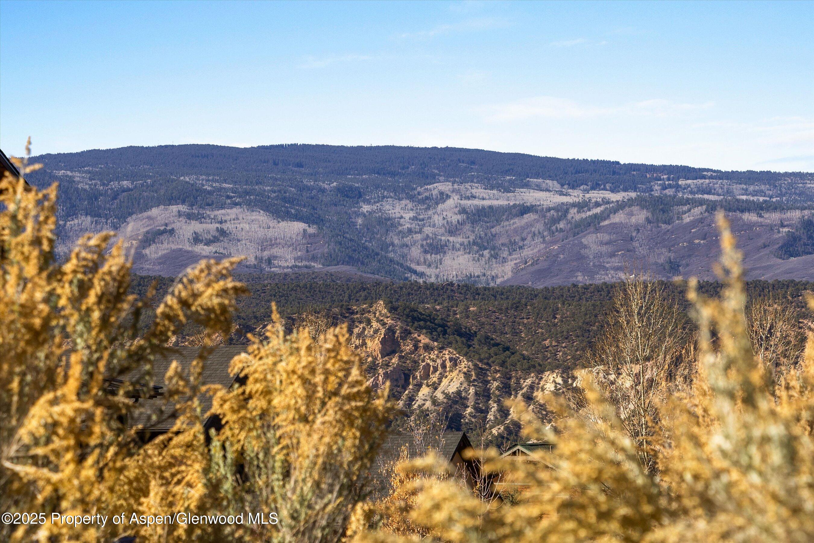 95 Cliff Rose Way Glenwood Springs CO 81601