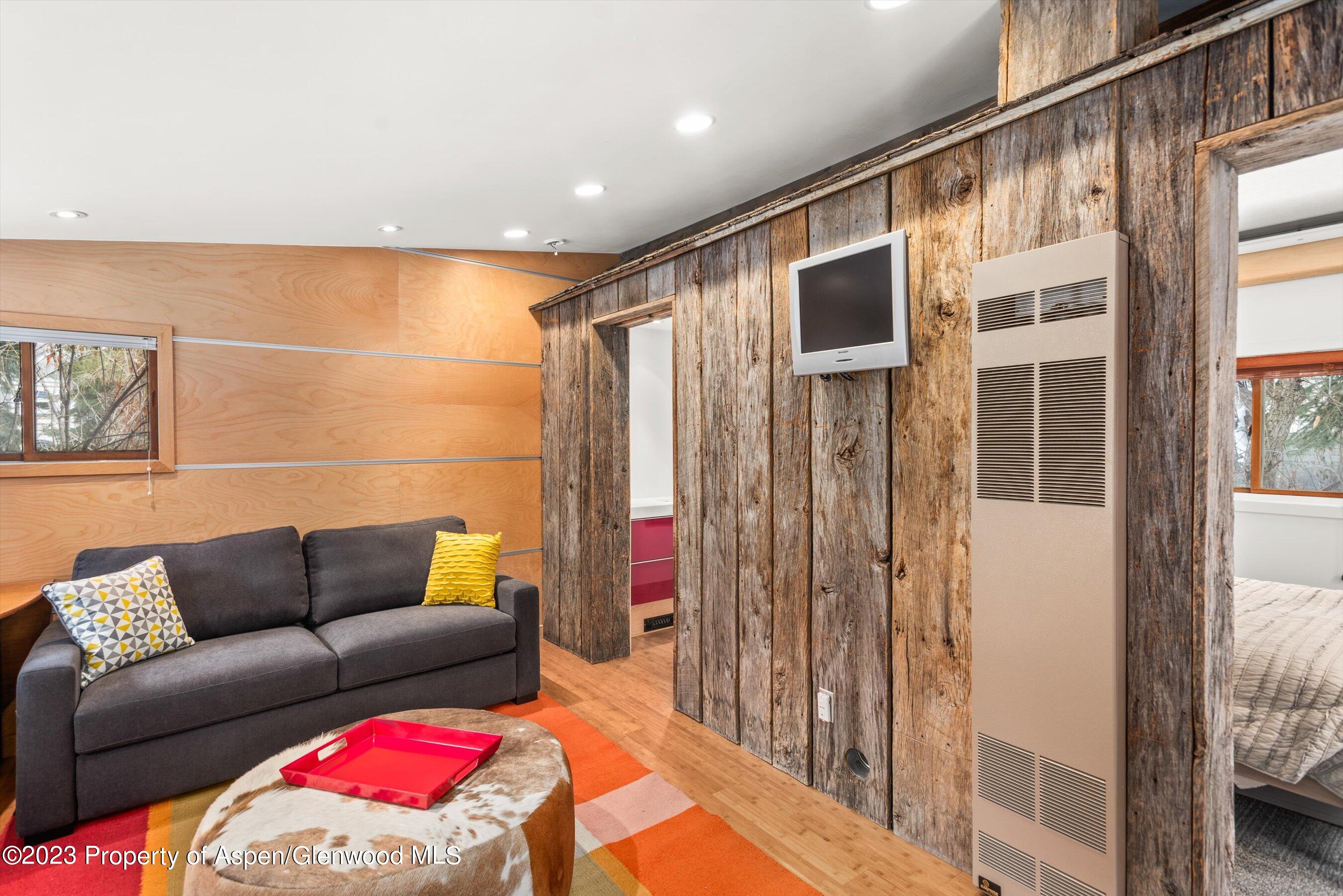 327 W Hallam Street Aspen CO 81611