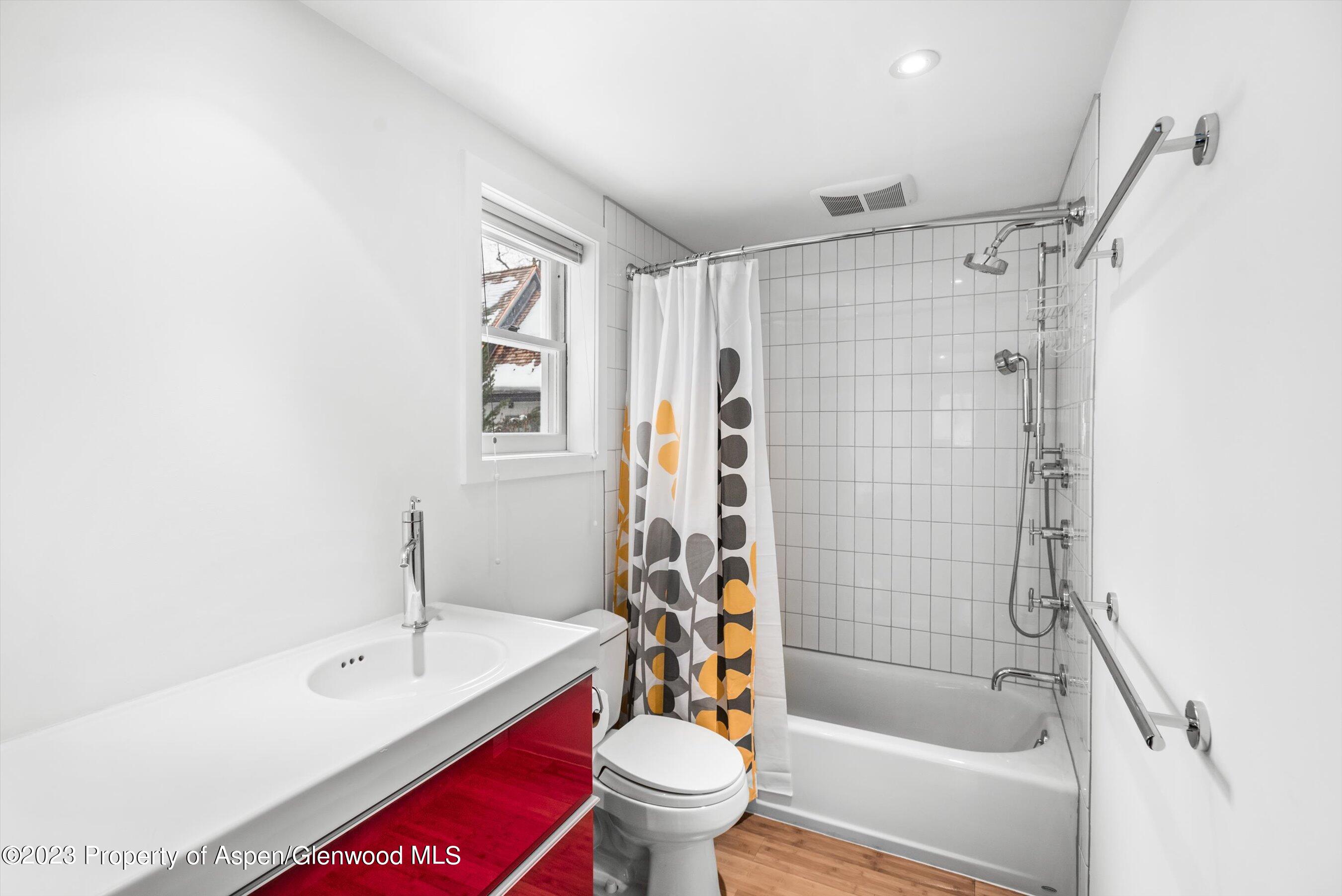 327 W Hallam Street Aspen CO 81611