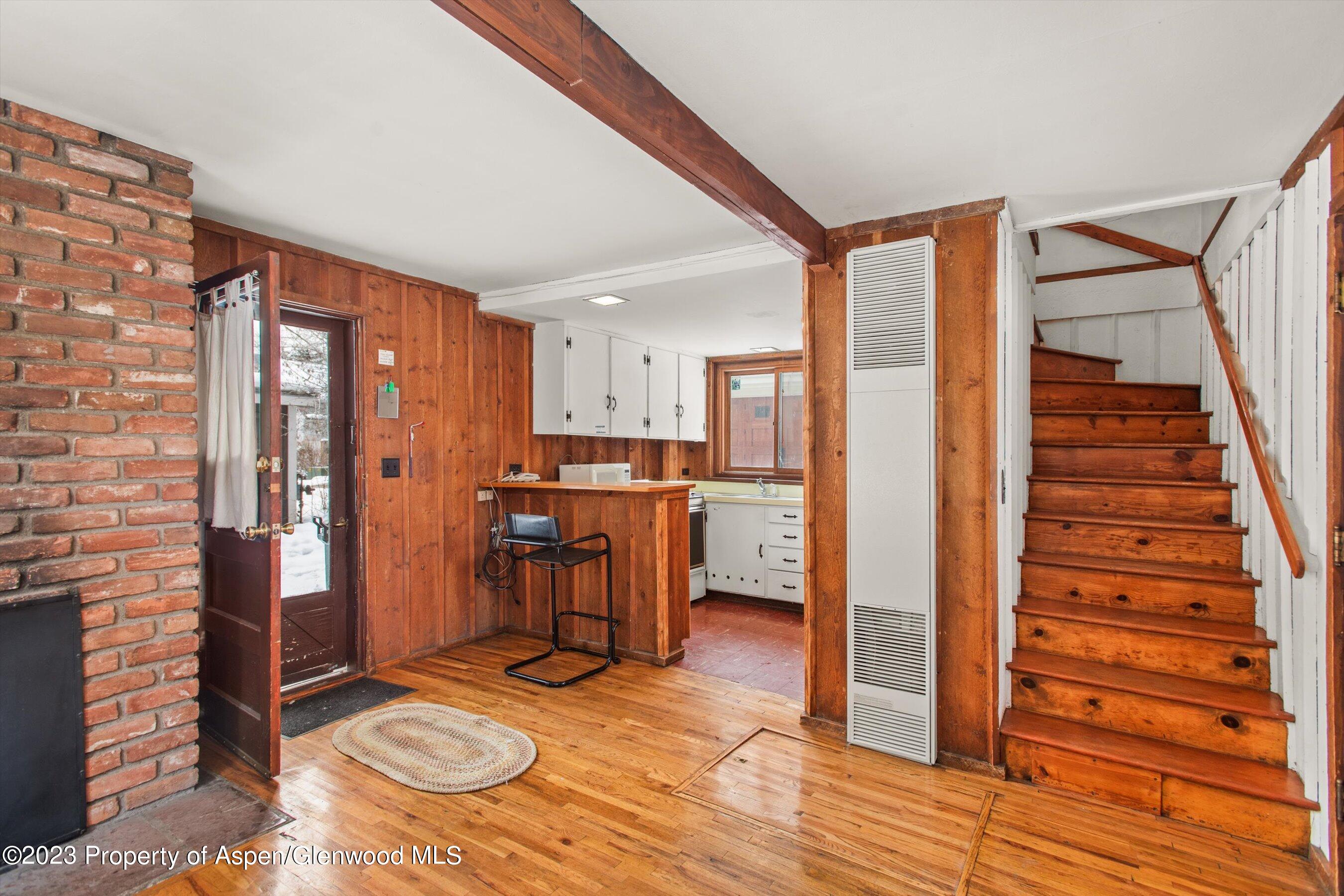 327 W Hallam Street Aspen CO 81611