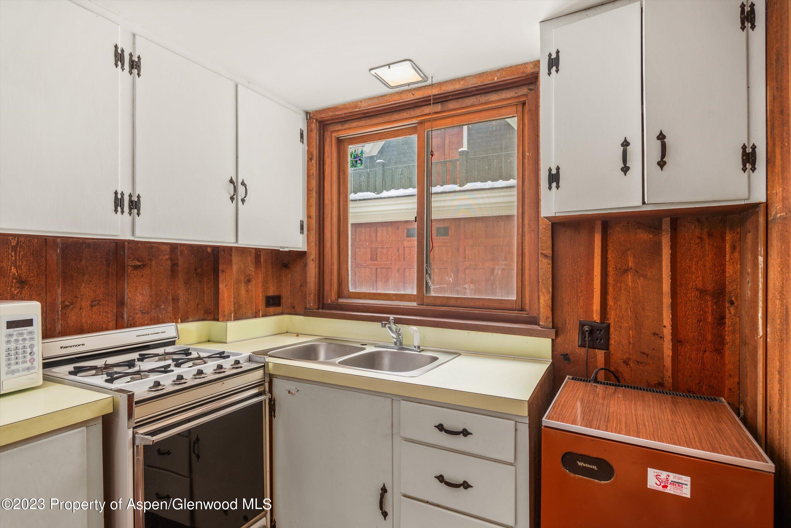 327 W Hallam Street Aspen CO 81611