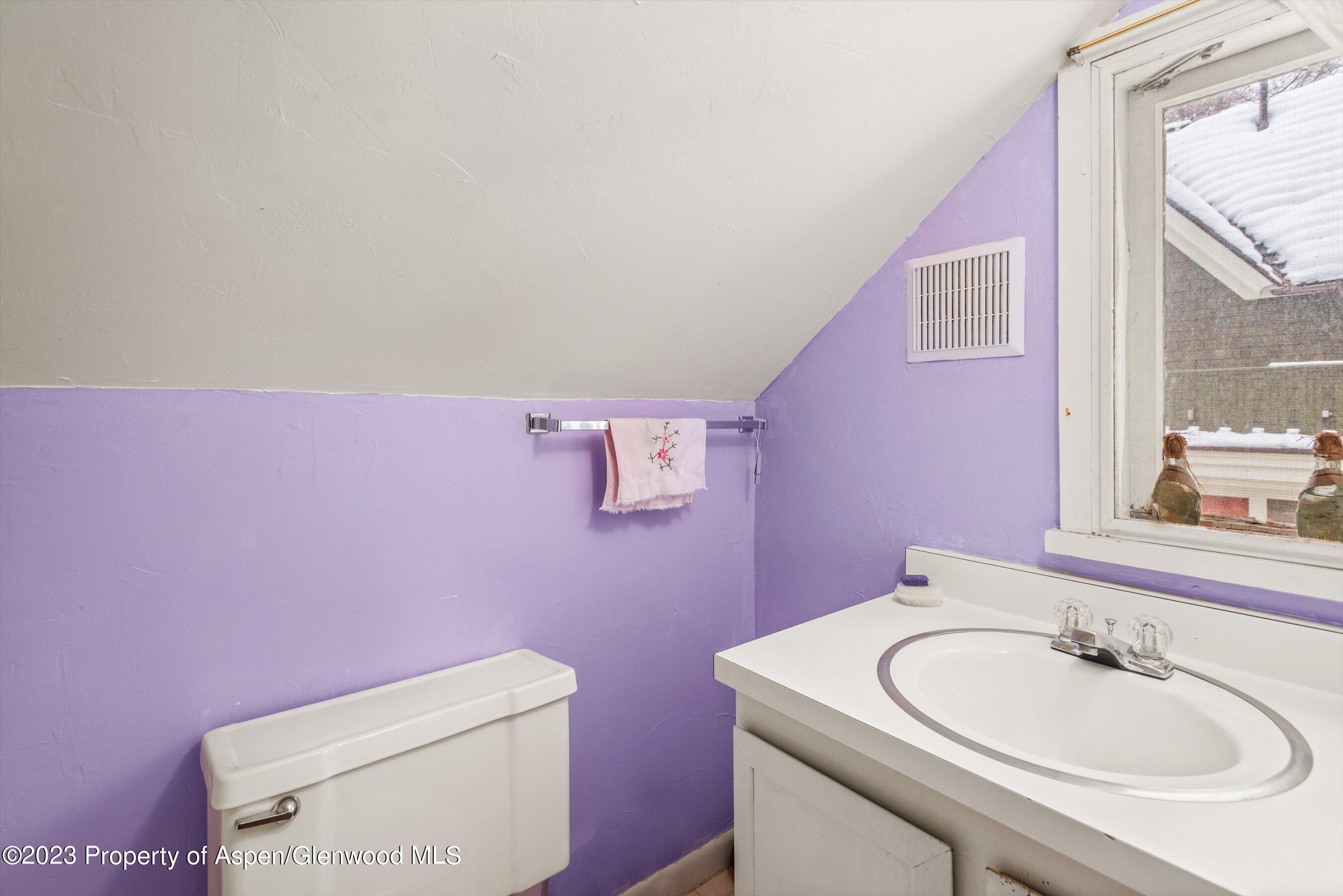 327 W Hallam Street Aspen CO 81611