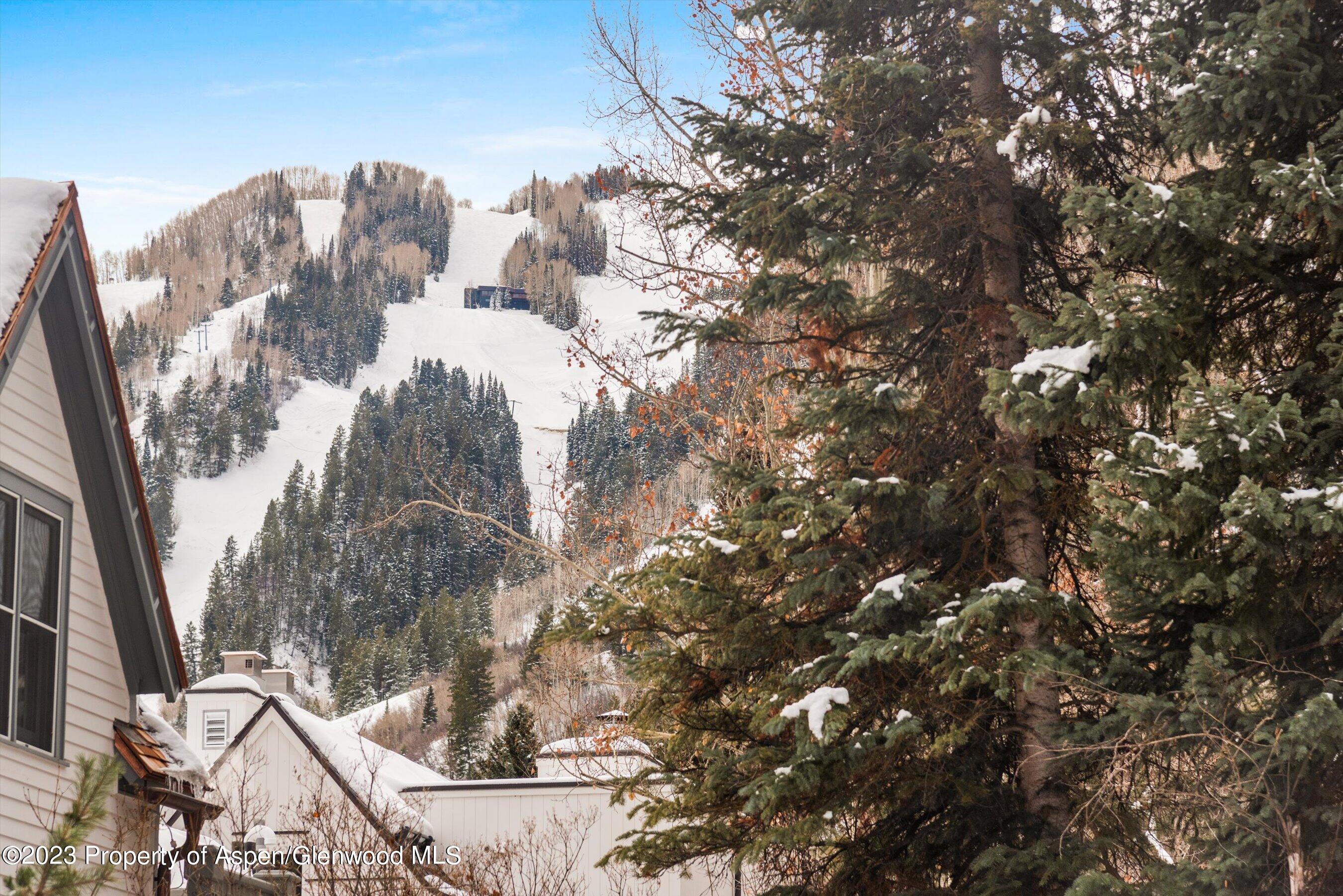 327 W Hallam Street Aspen CO 81611