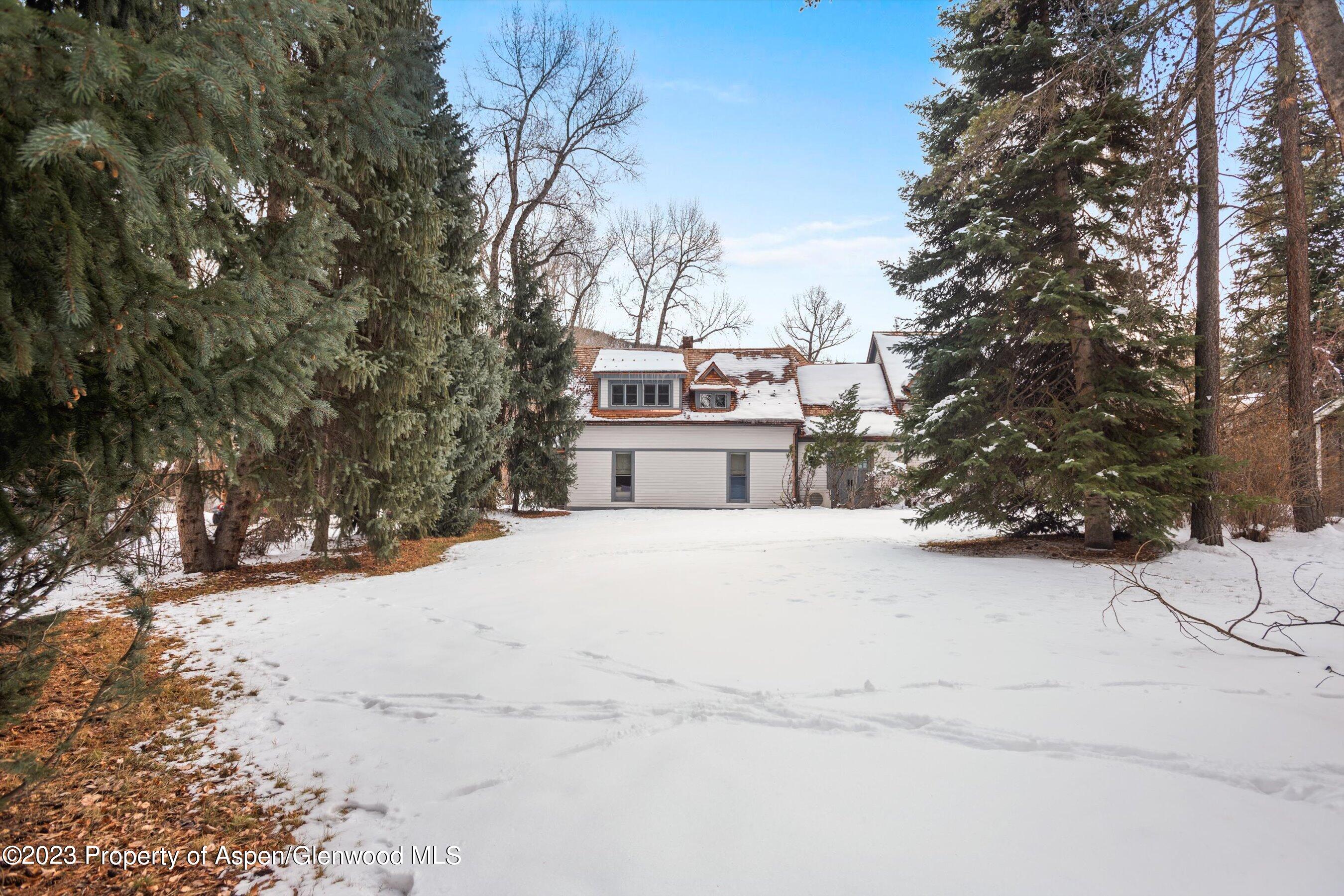 327 W Hallam Street Aspen CO 81611