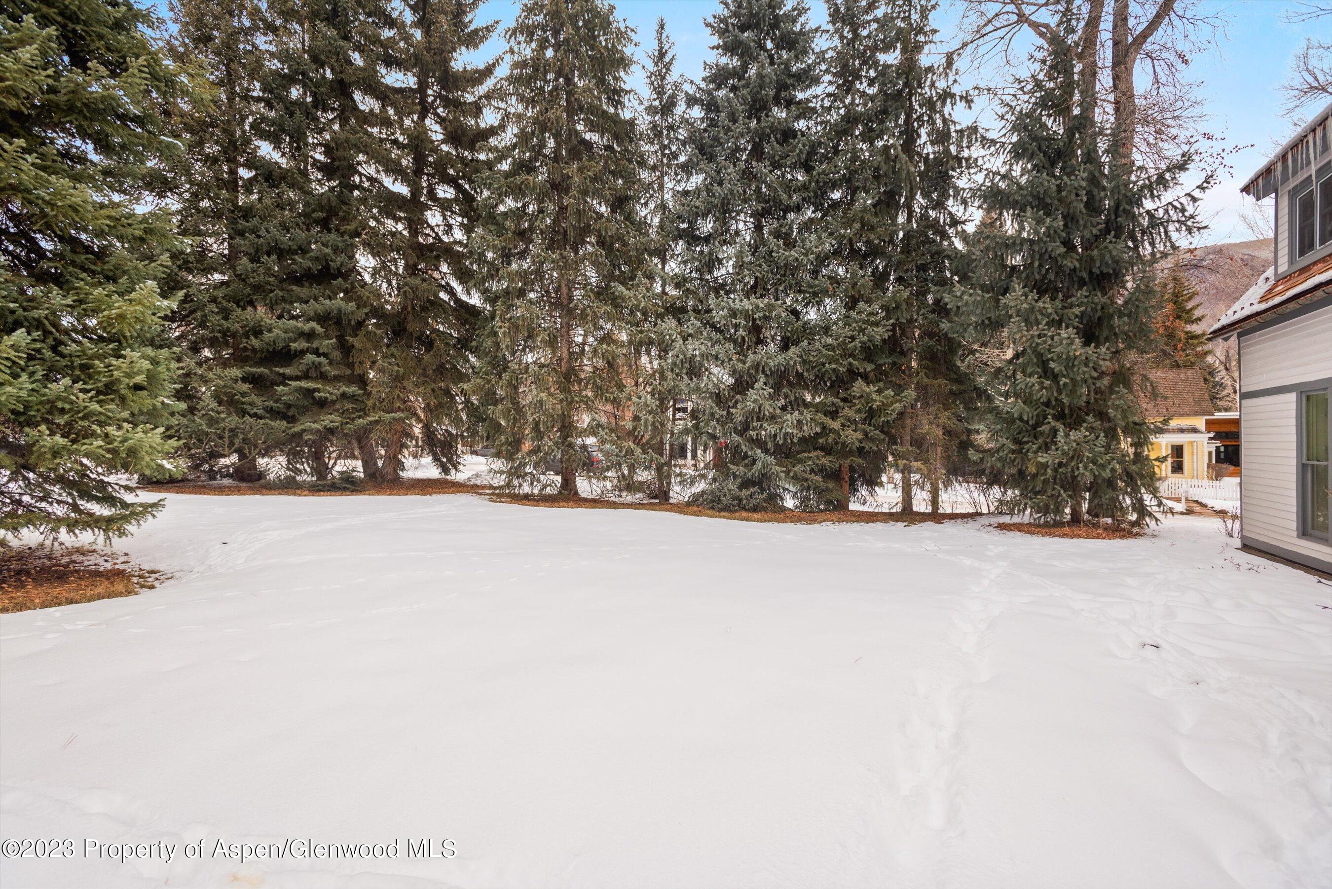 327 W Hallam Street Aspen CO 81611