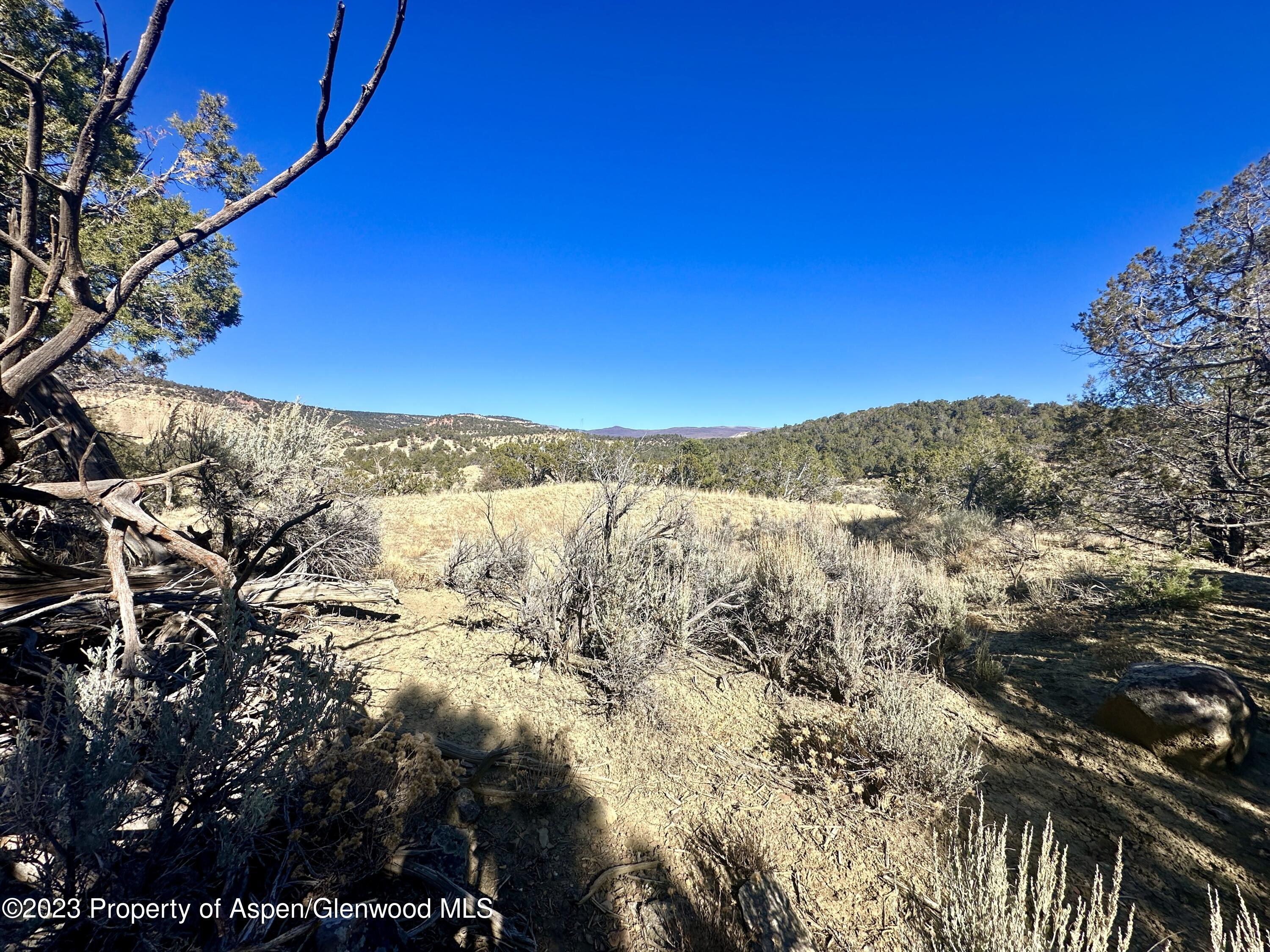 Cedaredge CO, Tbd Cactus Park Road