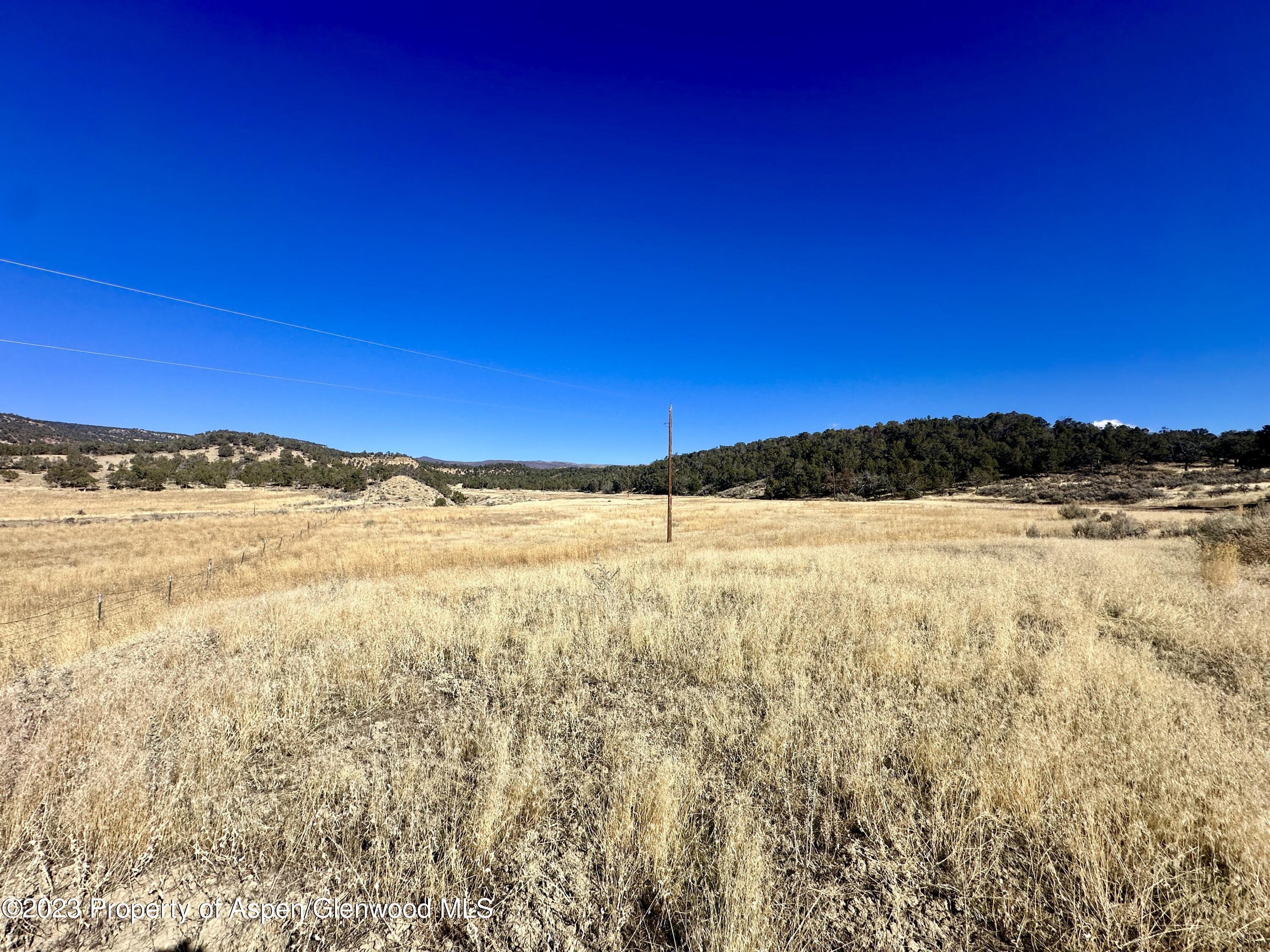 Tbd Cactus Park Road Cedaredge CO 81413