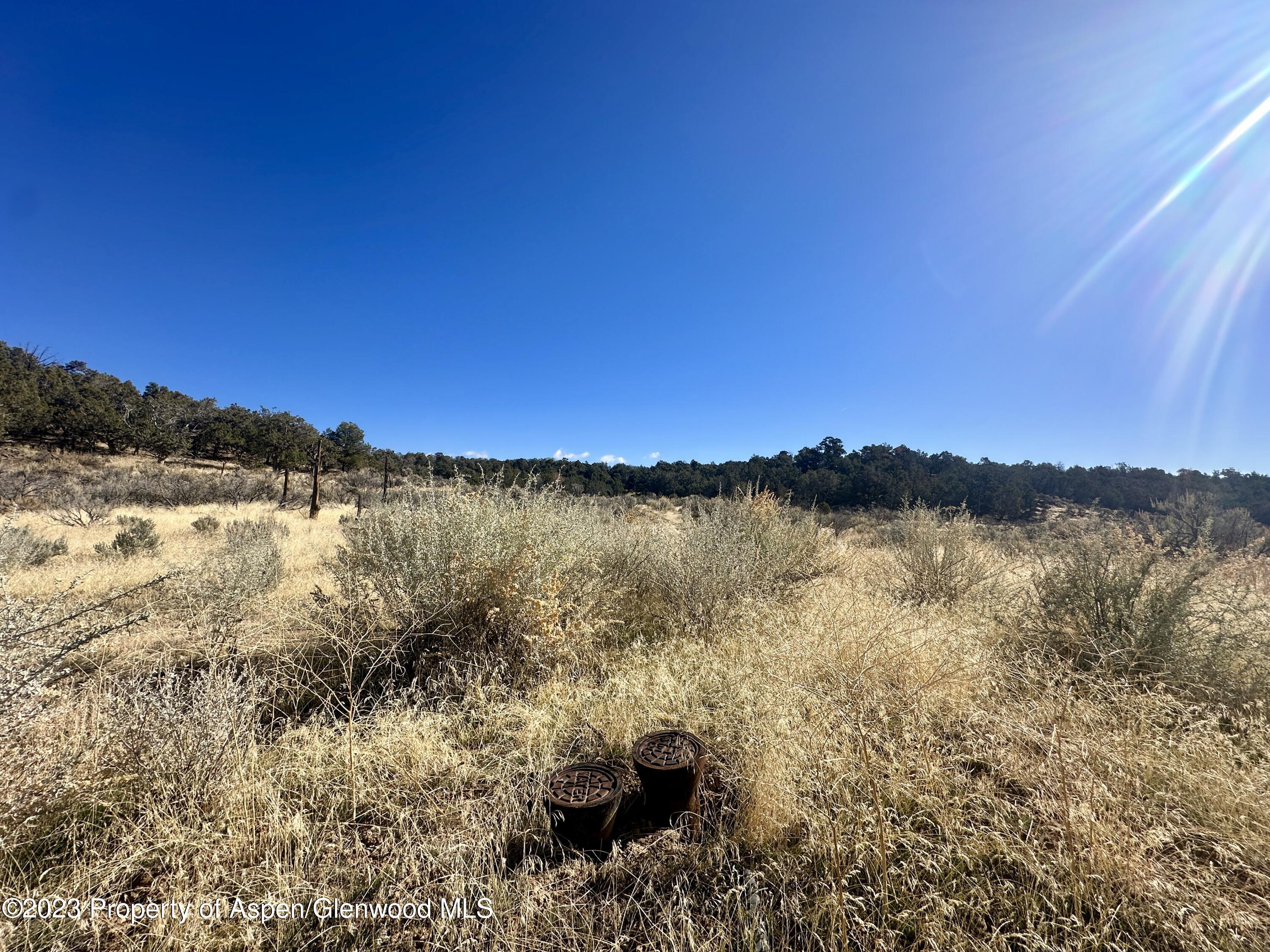 Tbd Cactus Park Road Cedaredge CO 81413