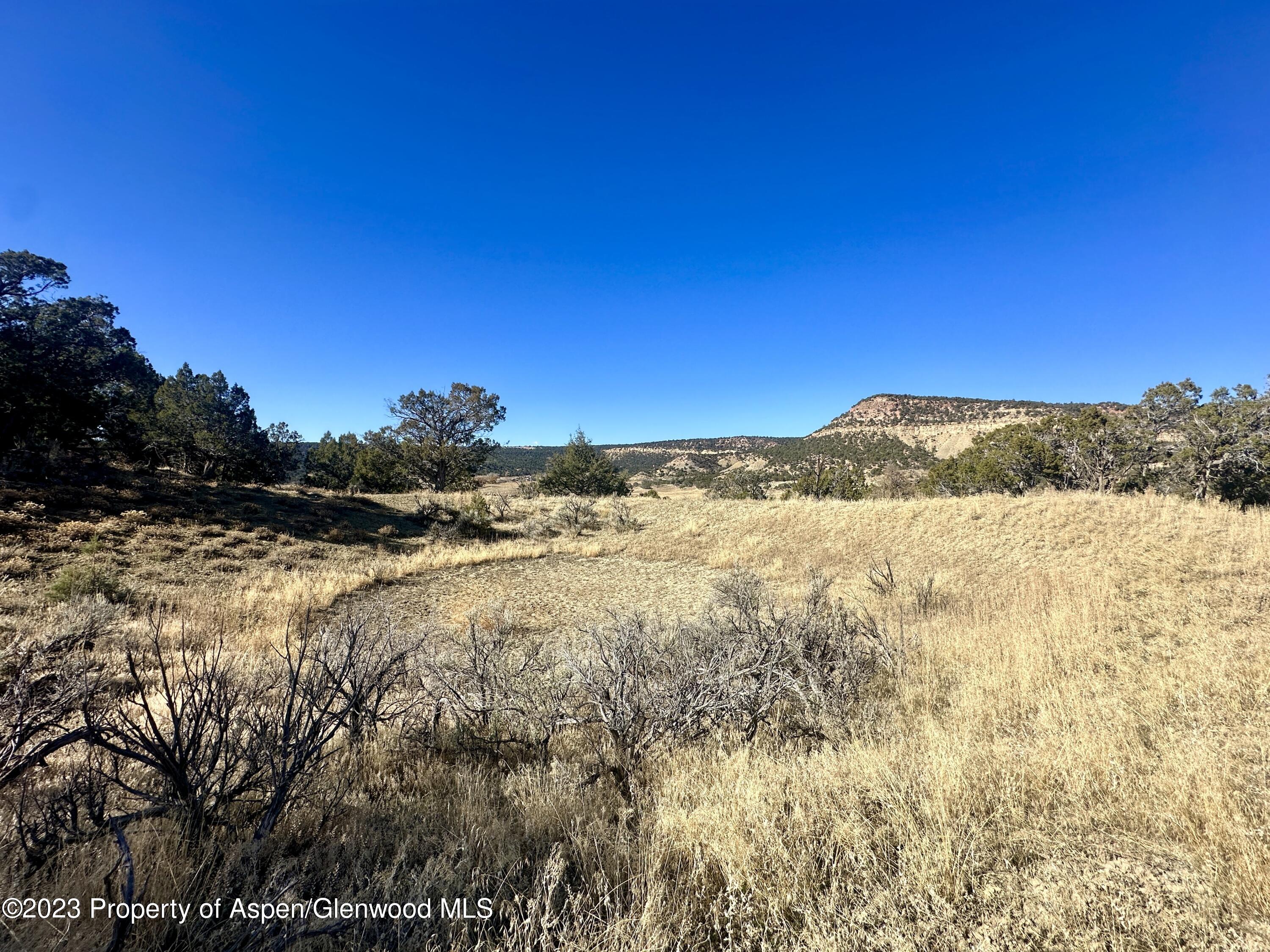 Tbd Cactus Park Road Cedaredge CO 81413