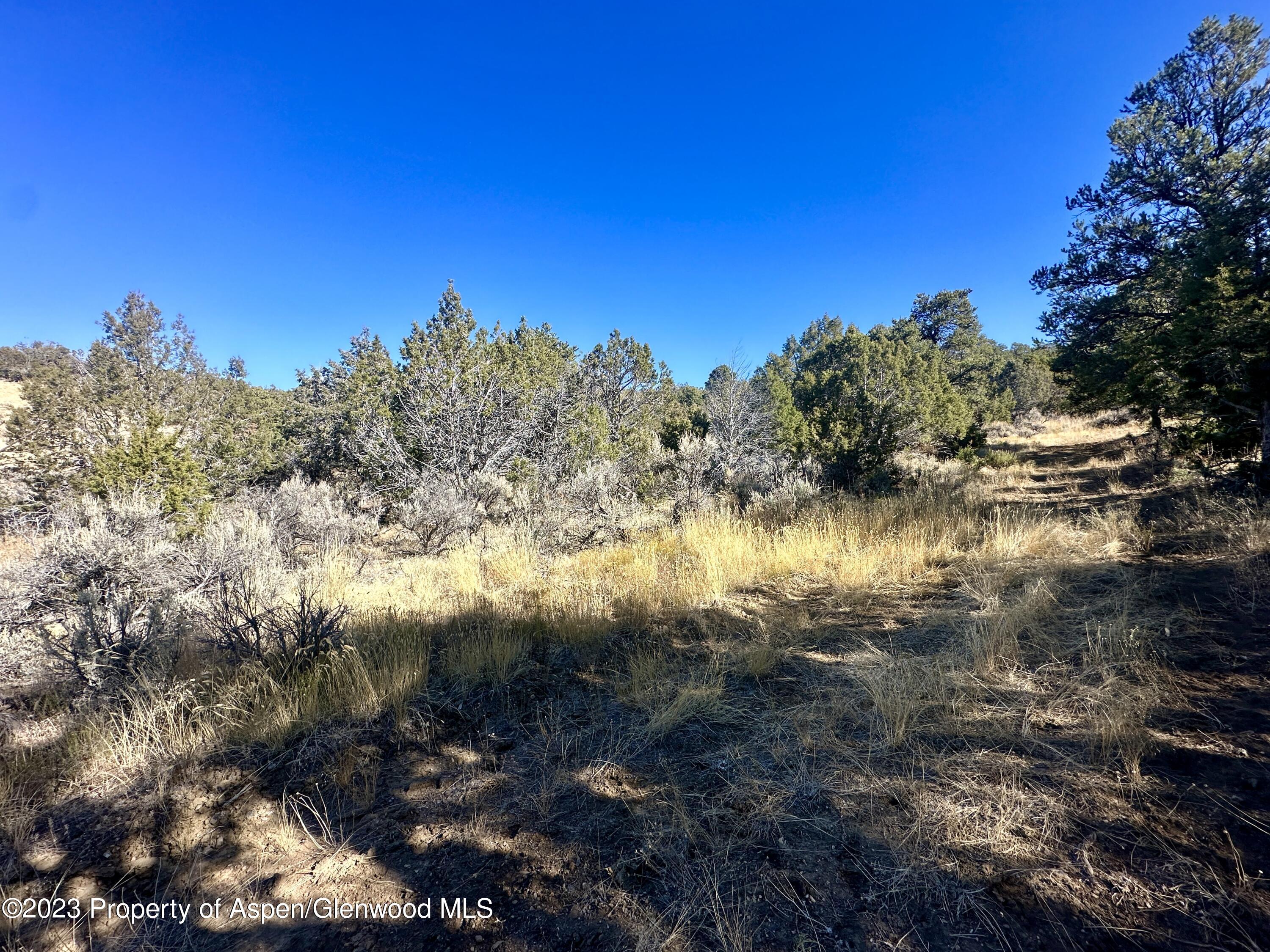 Tbd Cactus Park Road Cedaredge CO 81413
