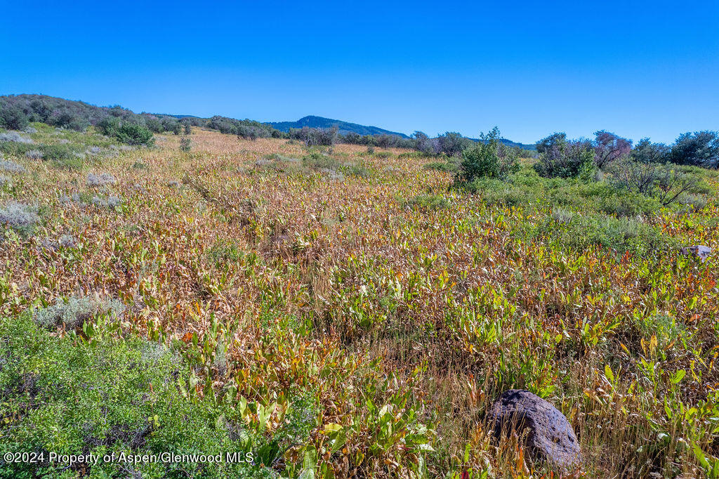 1750 Fiddleneck Drive Lot 44 Craig CO 81625