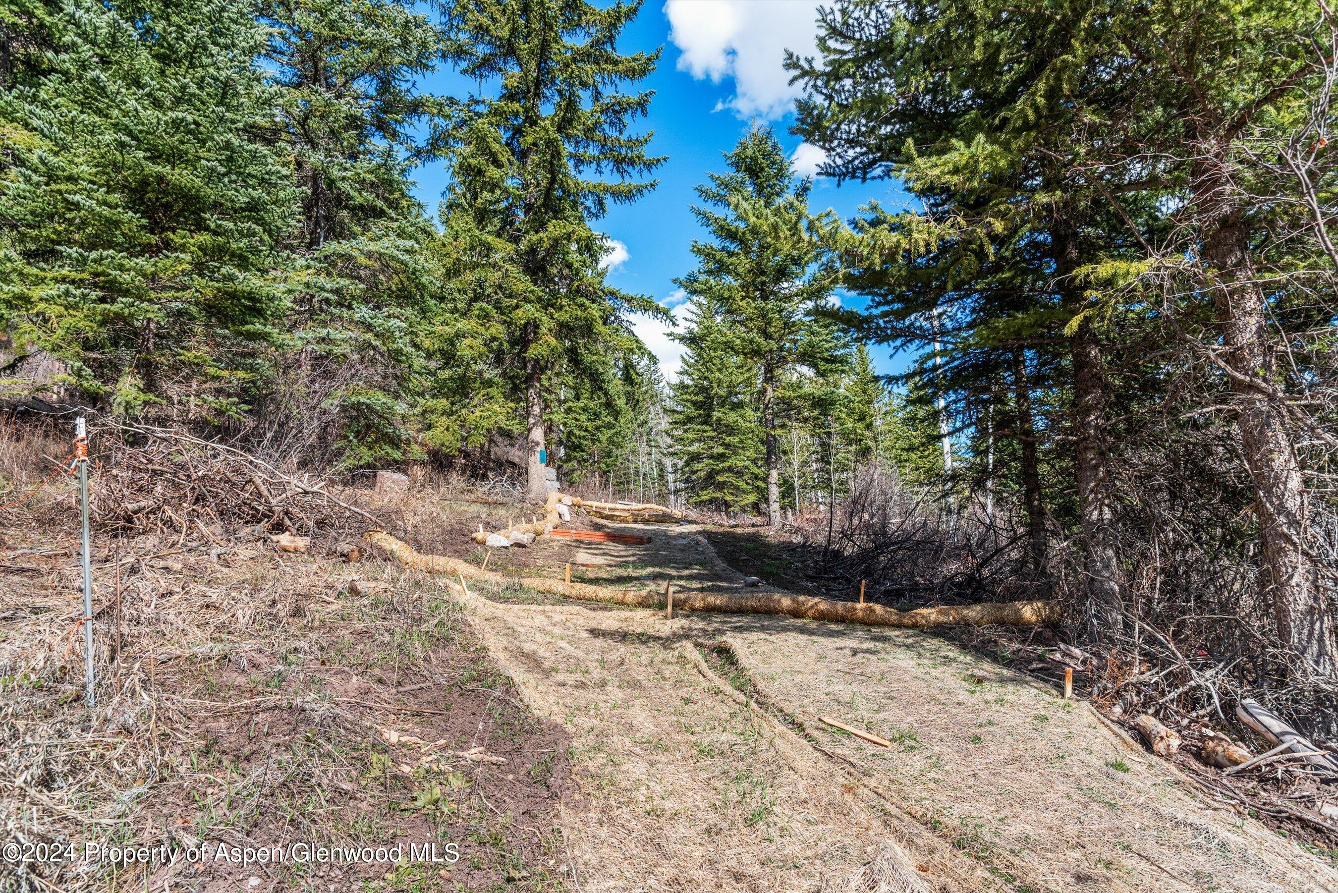 Tbd Elk Mountain Drive Drive Redstone CO 81623