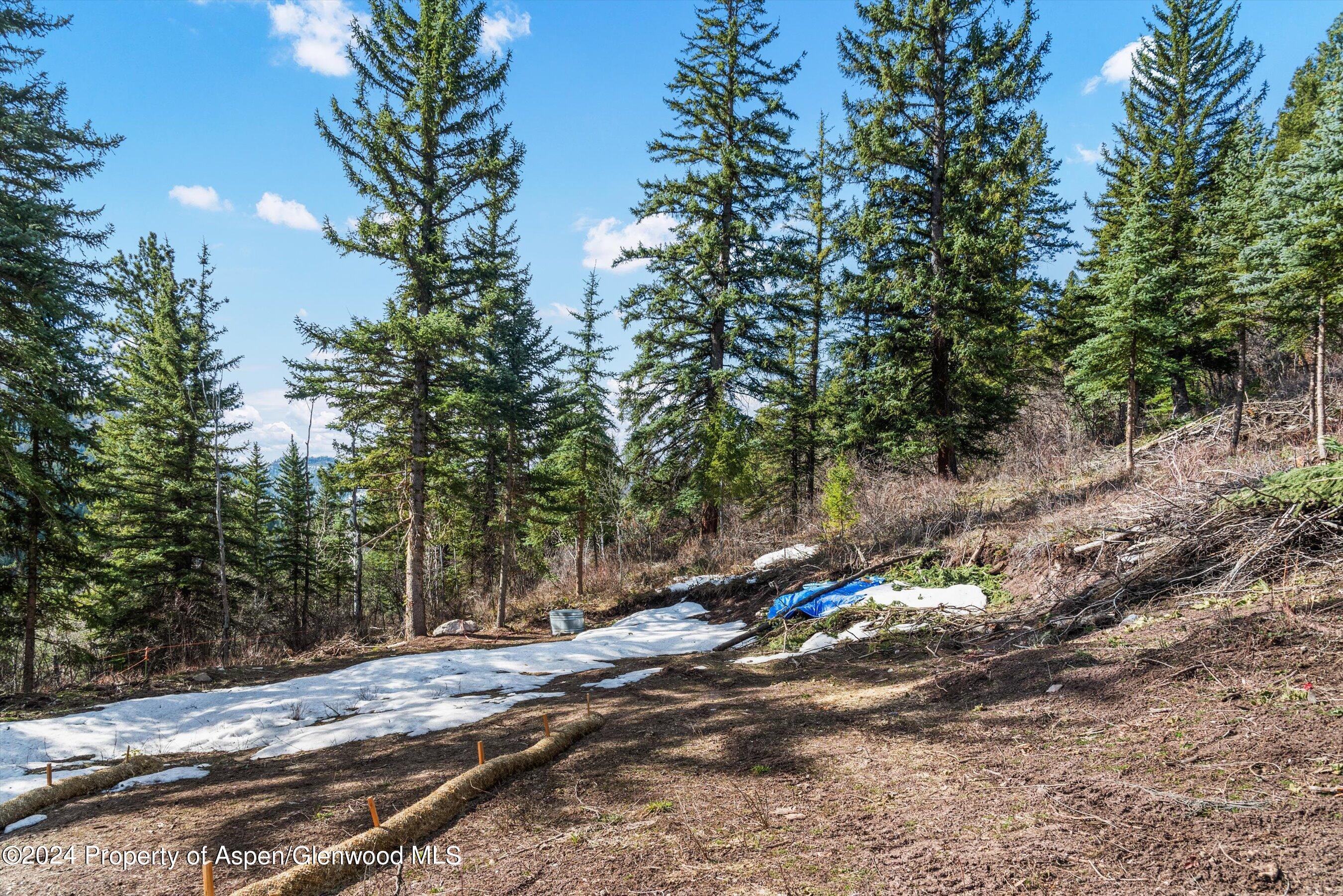 Tbd Elk Mountain Drive Drive Redstone CO 81623