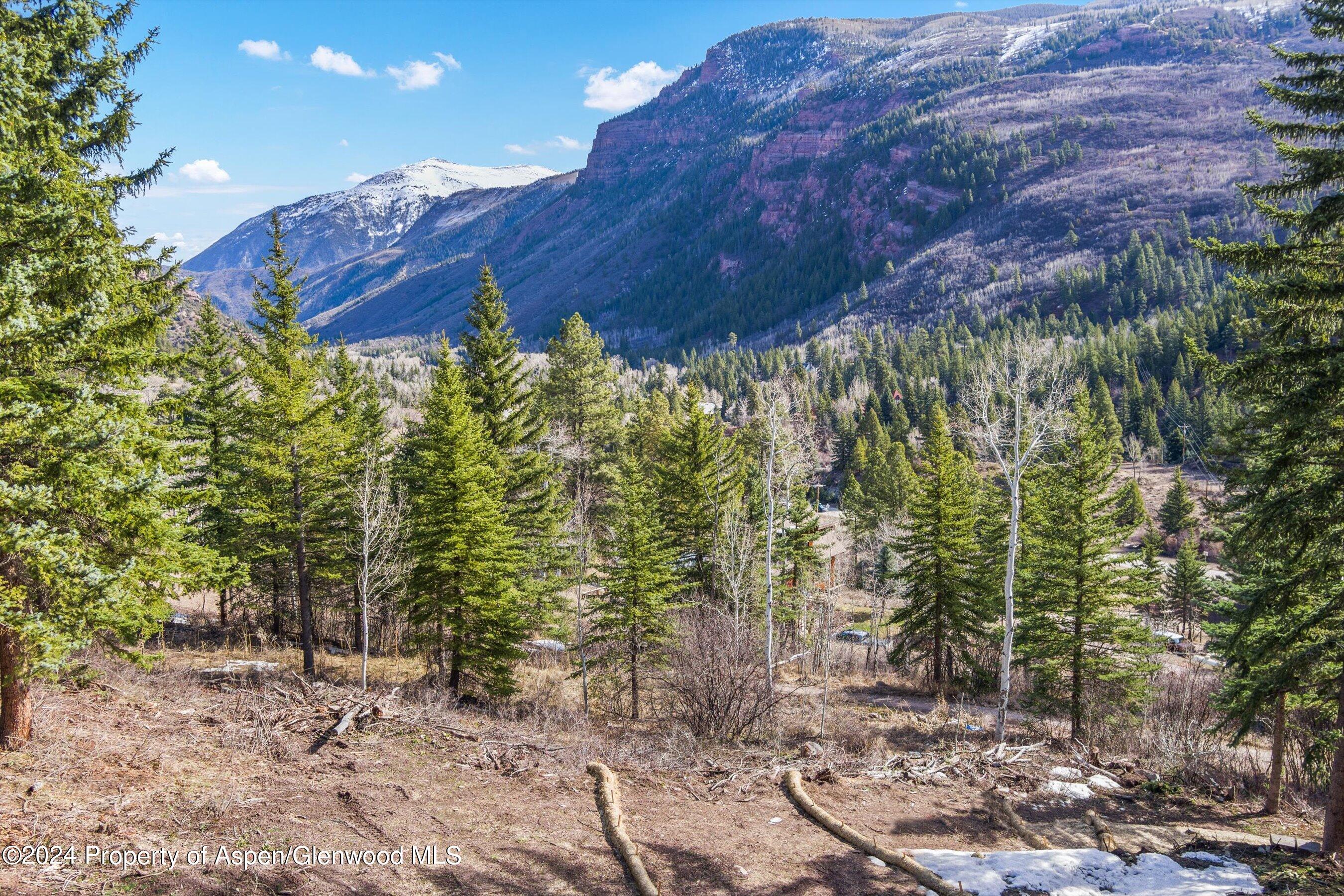 Tbd Elk Mountain Drive Drive Redstone CO 81623