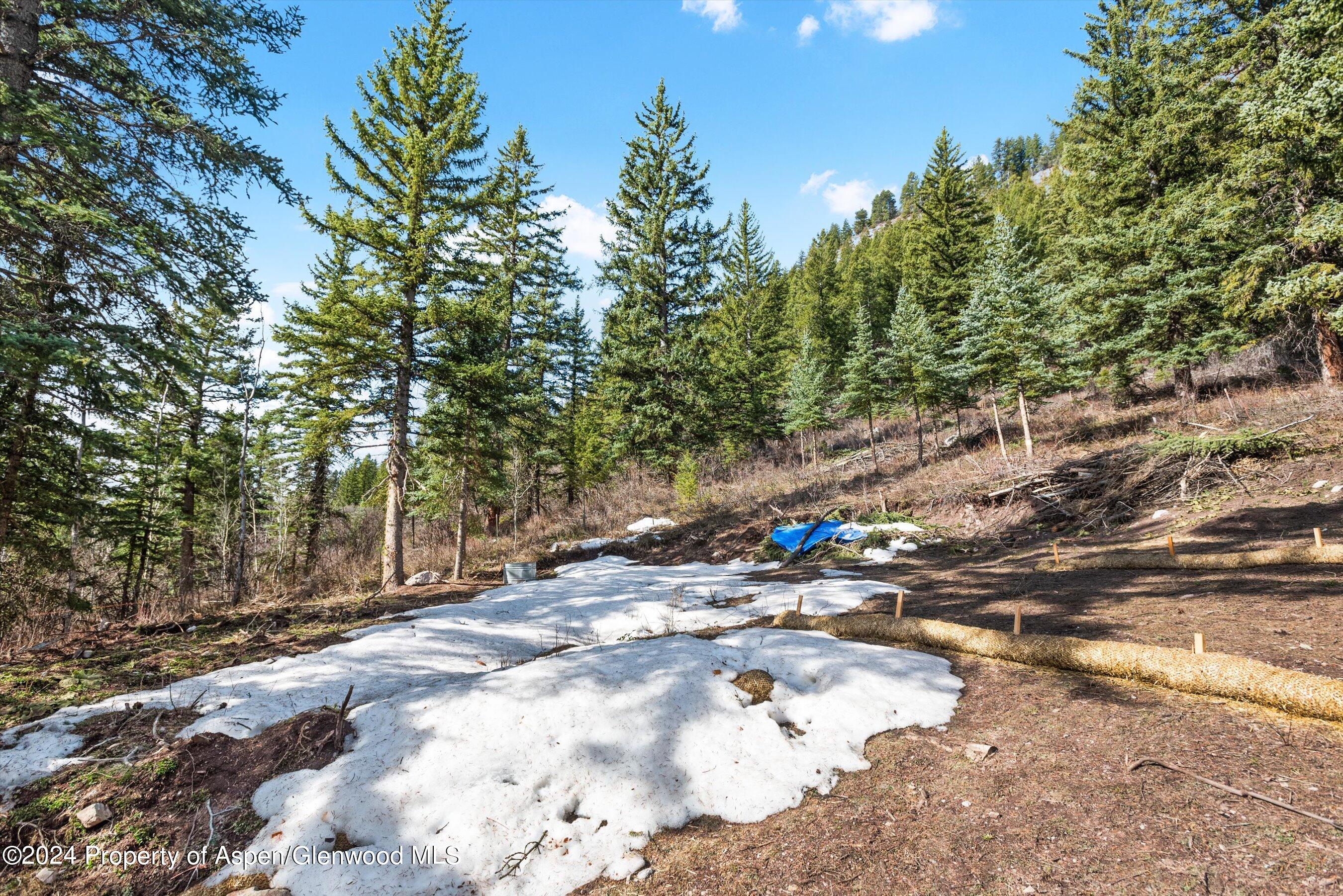 Tbd Elk Mountain Drive Drive Redstone CO 81623