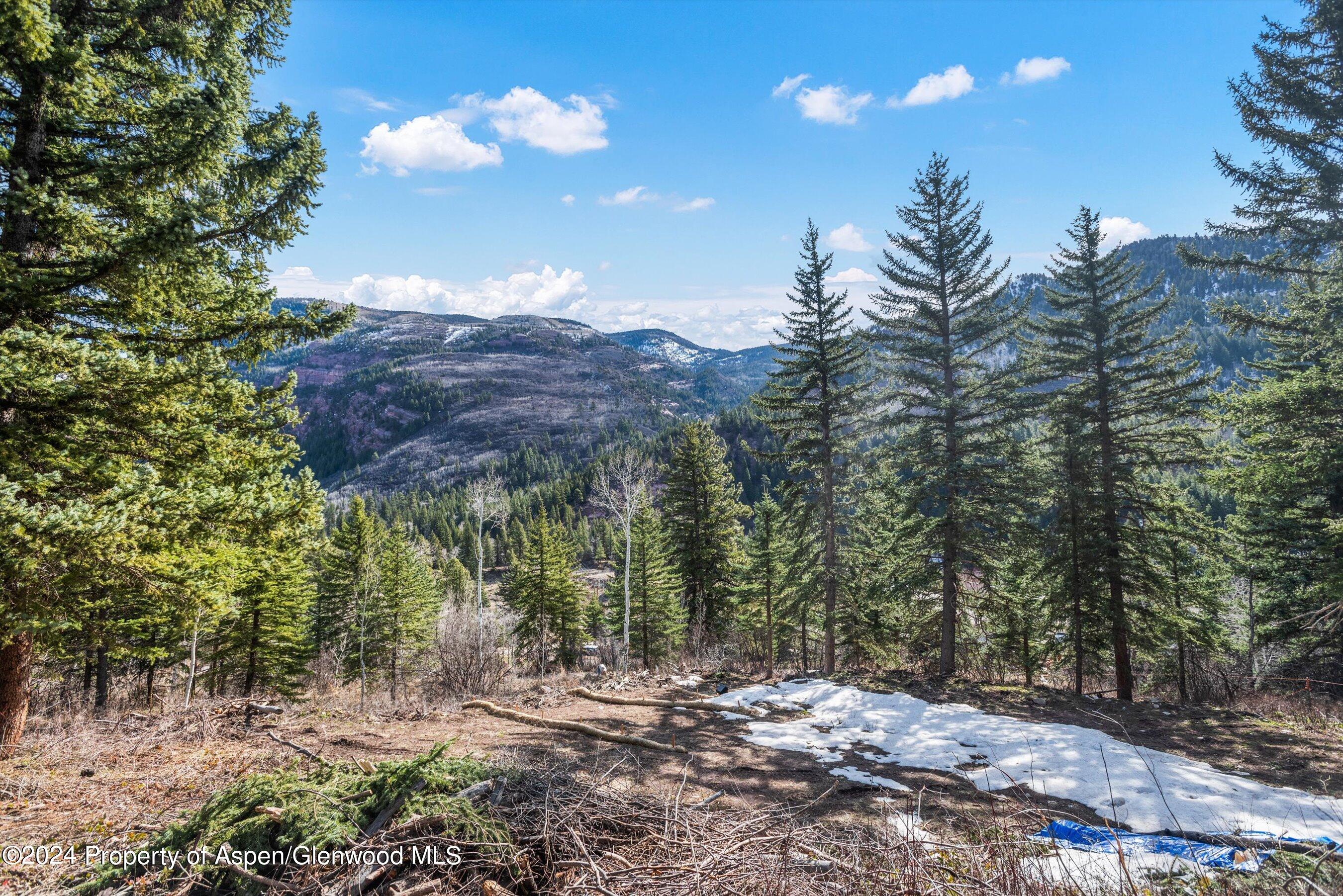 Tbd Elk Mountain Drive Drive Redstone CO 81623