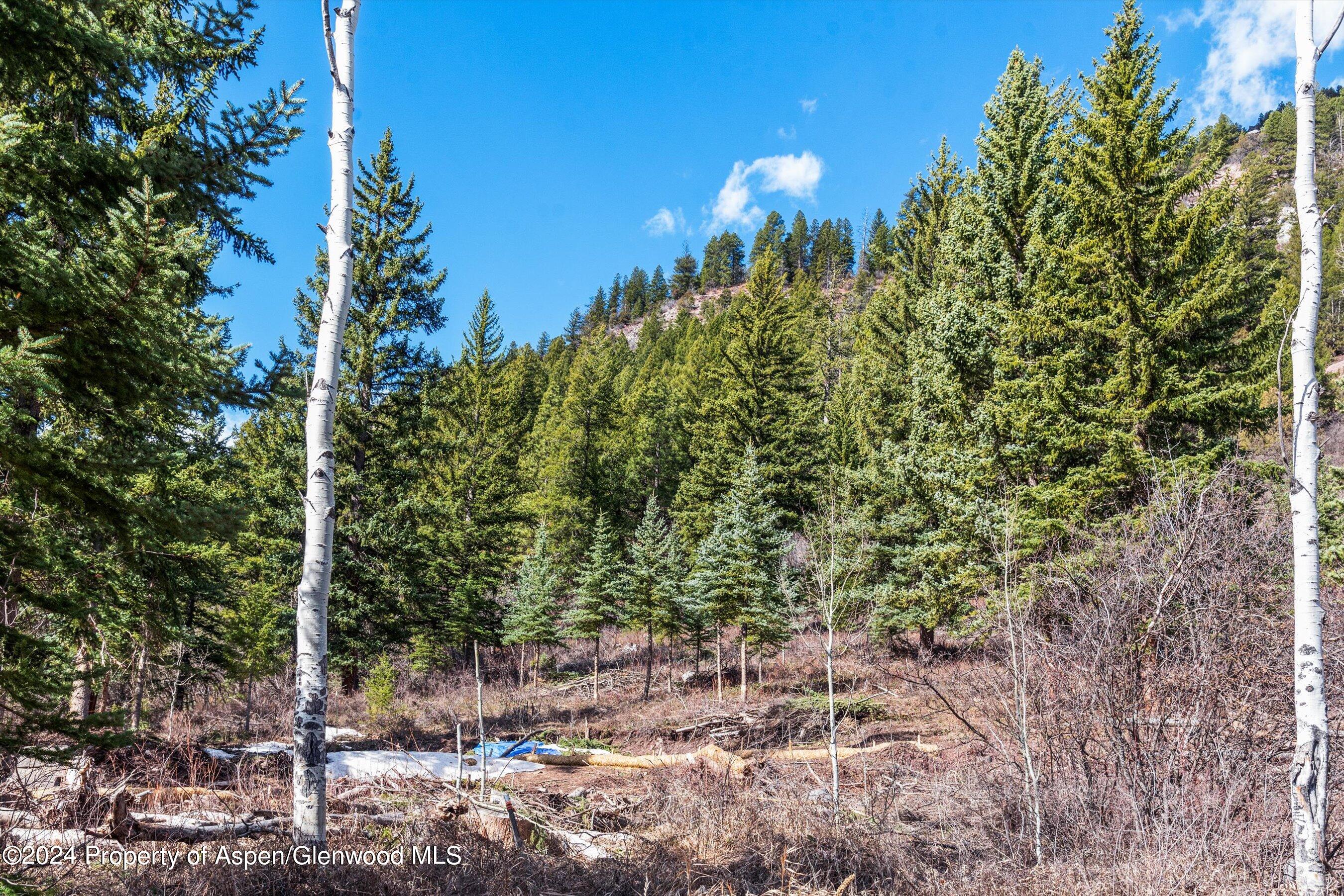 Tbd Elk Mountain Drive Drive Redstone CO 81623