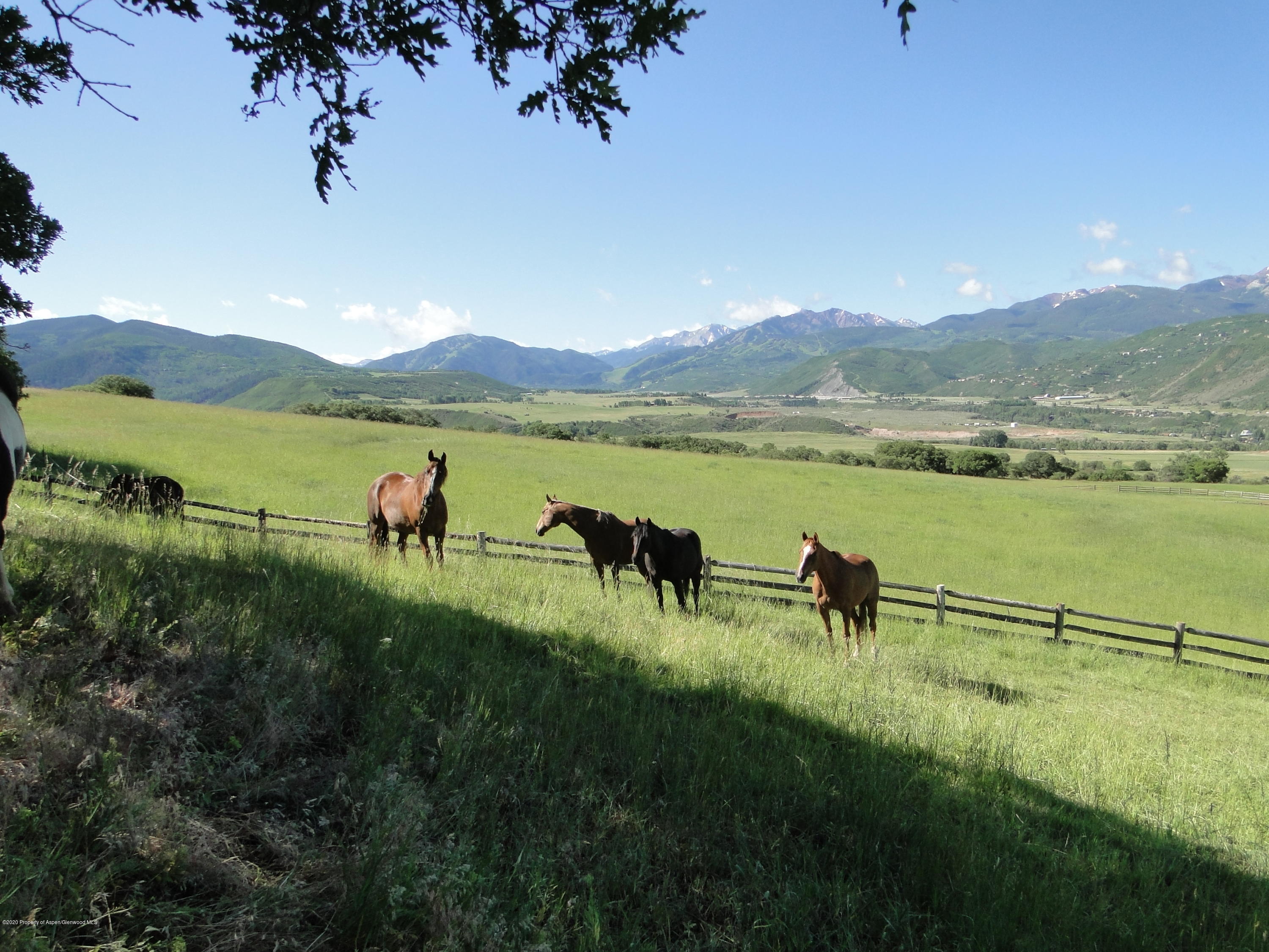 664 Chaparral Drive Woody Creek CO 81656