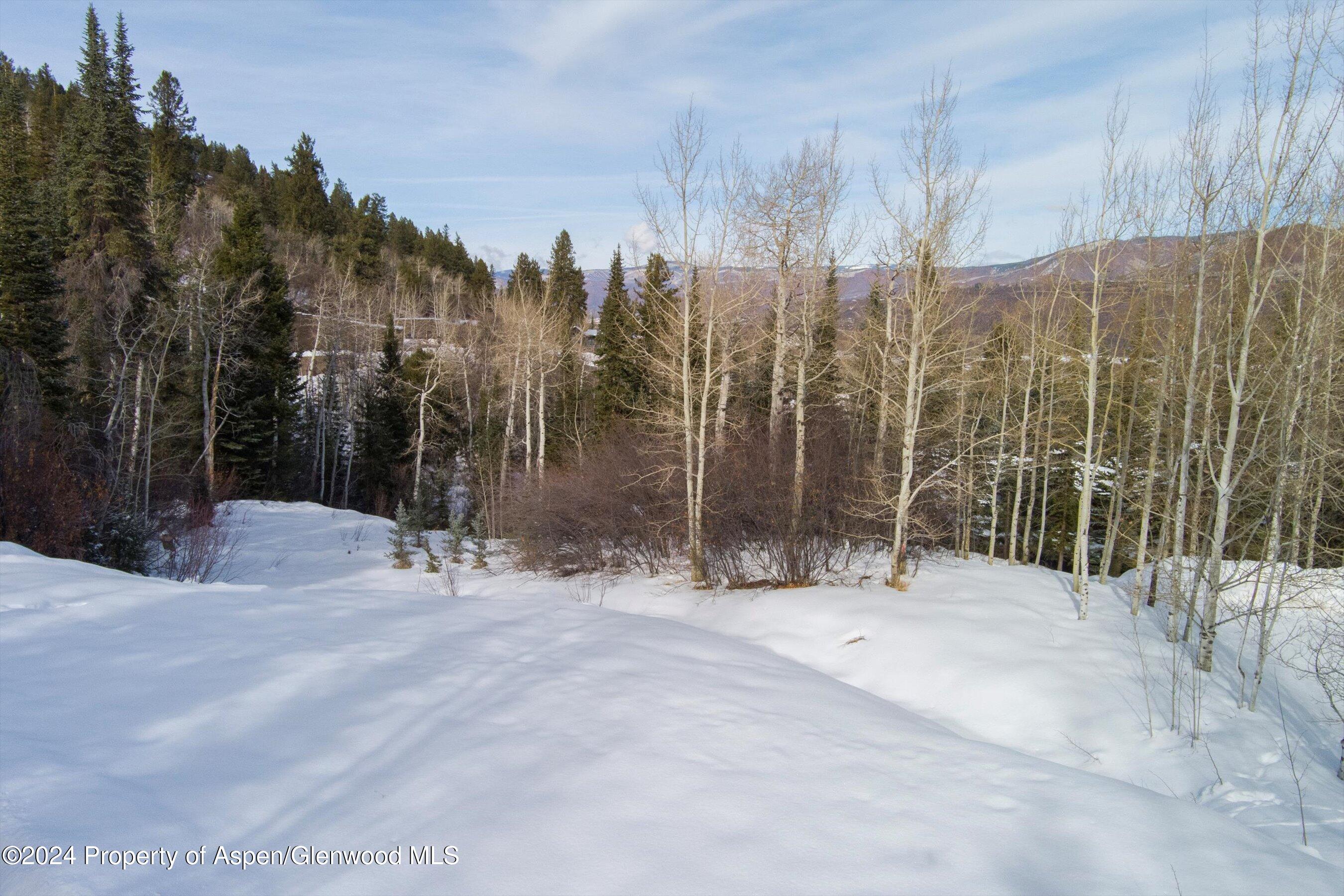 Tbd Pfister Drive Aspen CO 81611