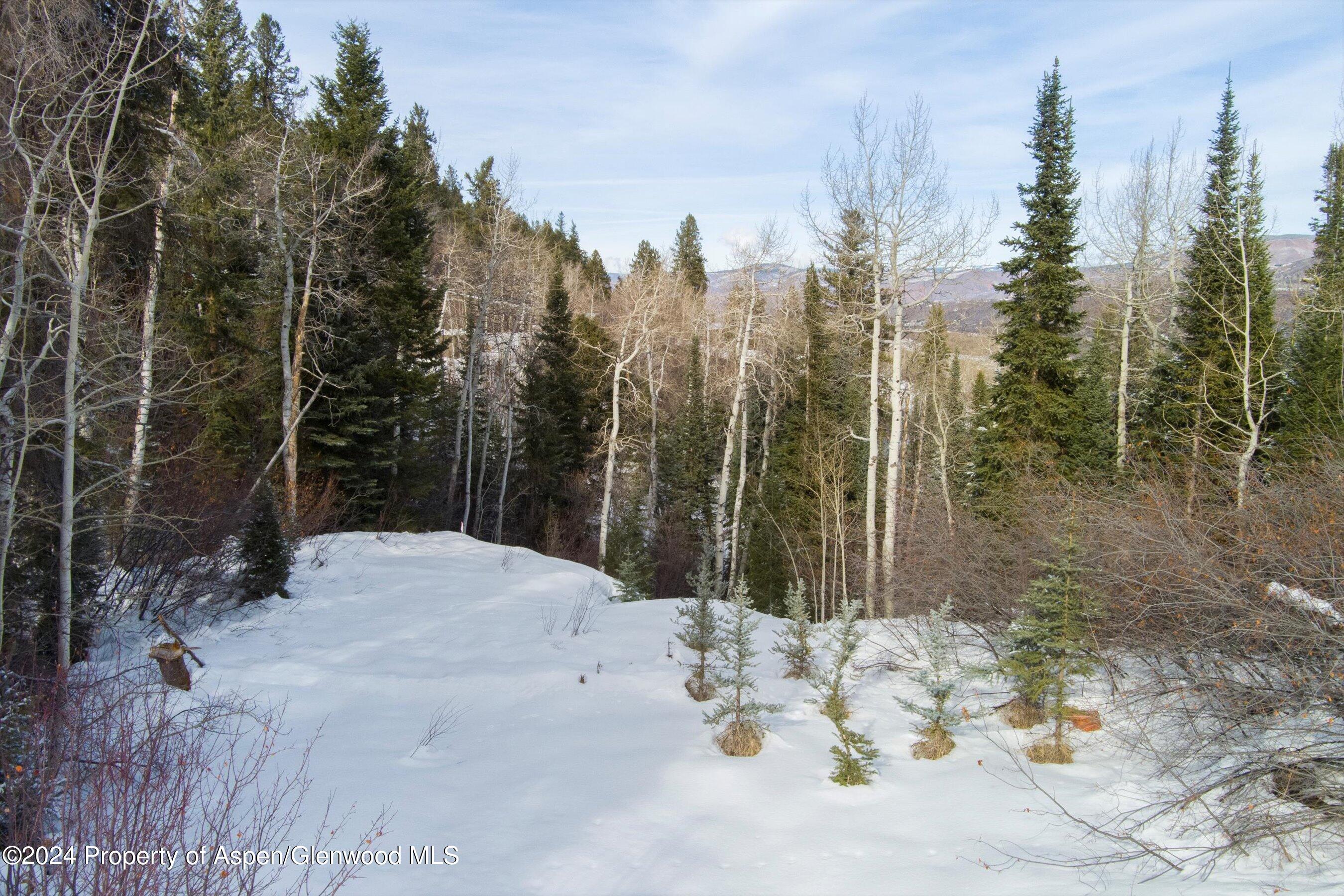 Tbd Pfister Drive Aspen CO 81611