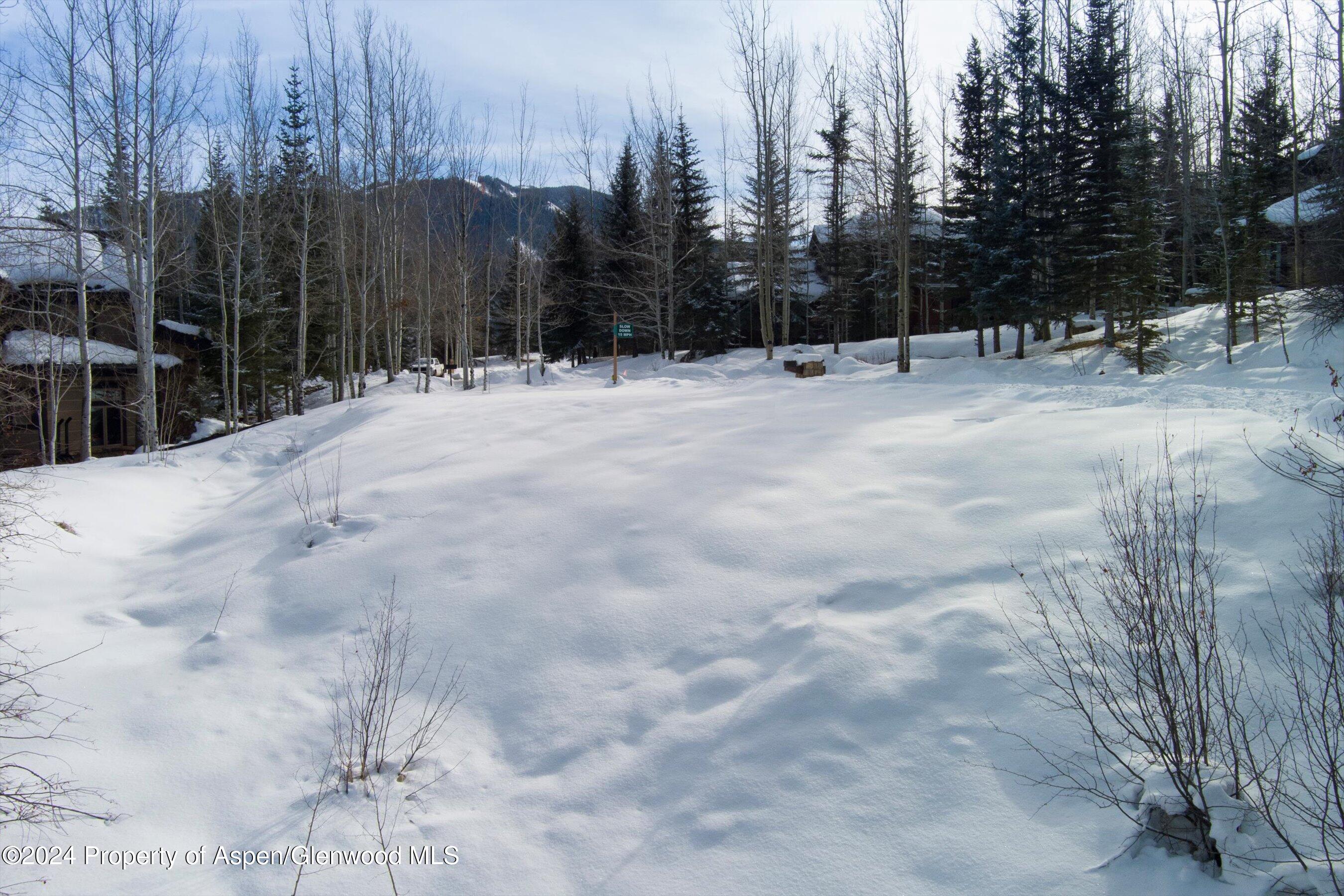 Tbd Pfister Drive Aspen CO 81611