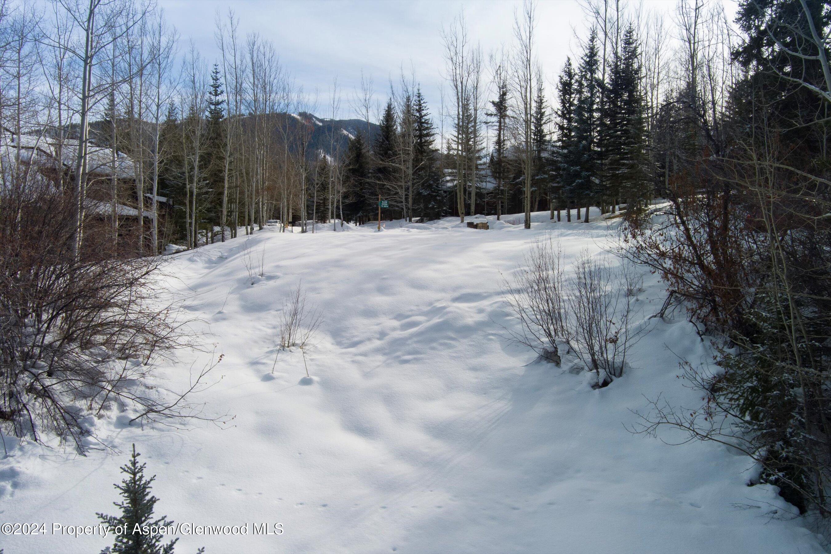 Tbd Pfister Drive Aspen CO 81611