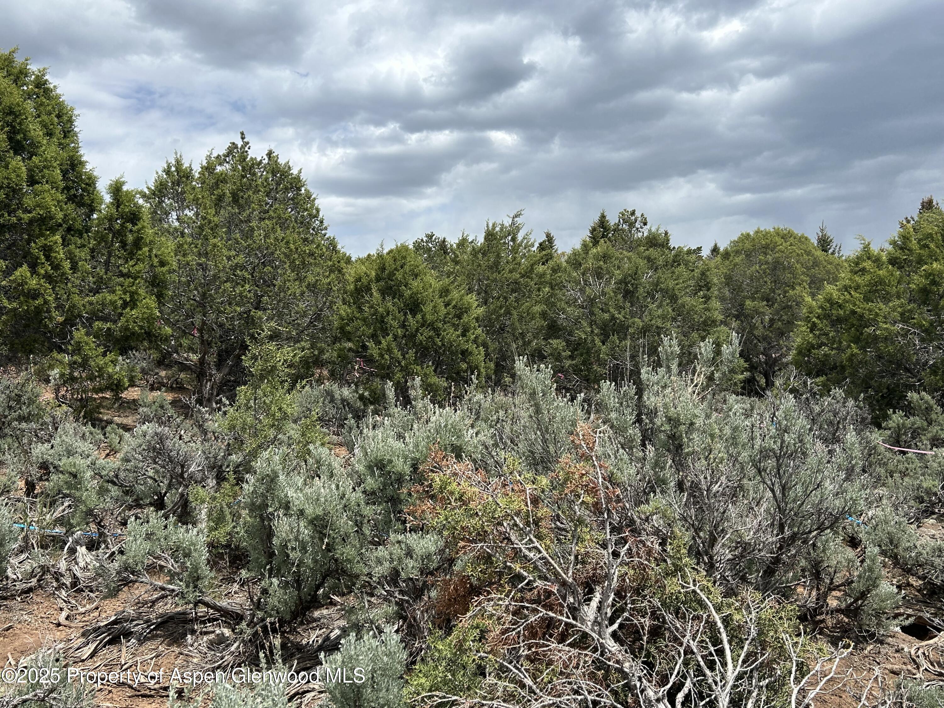 151 Monarch Road Glenwood Springs CO 81601