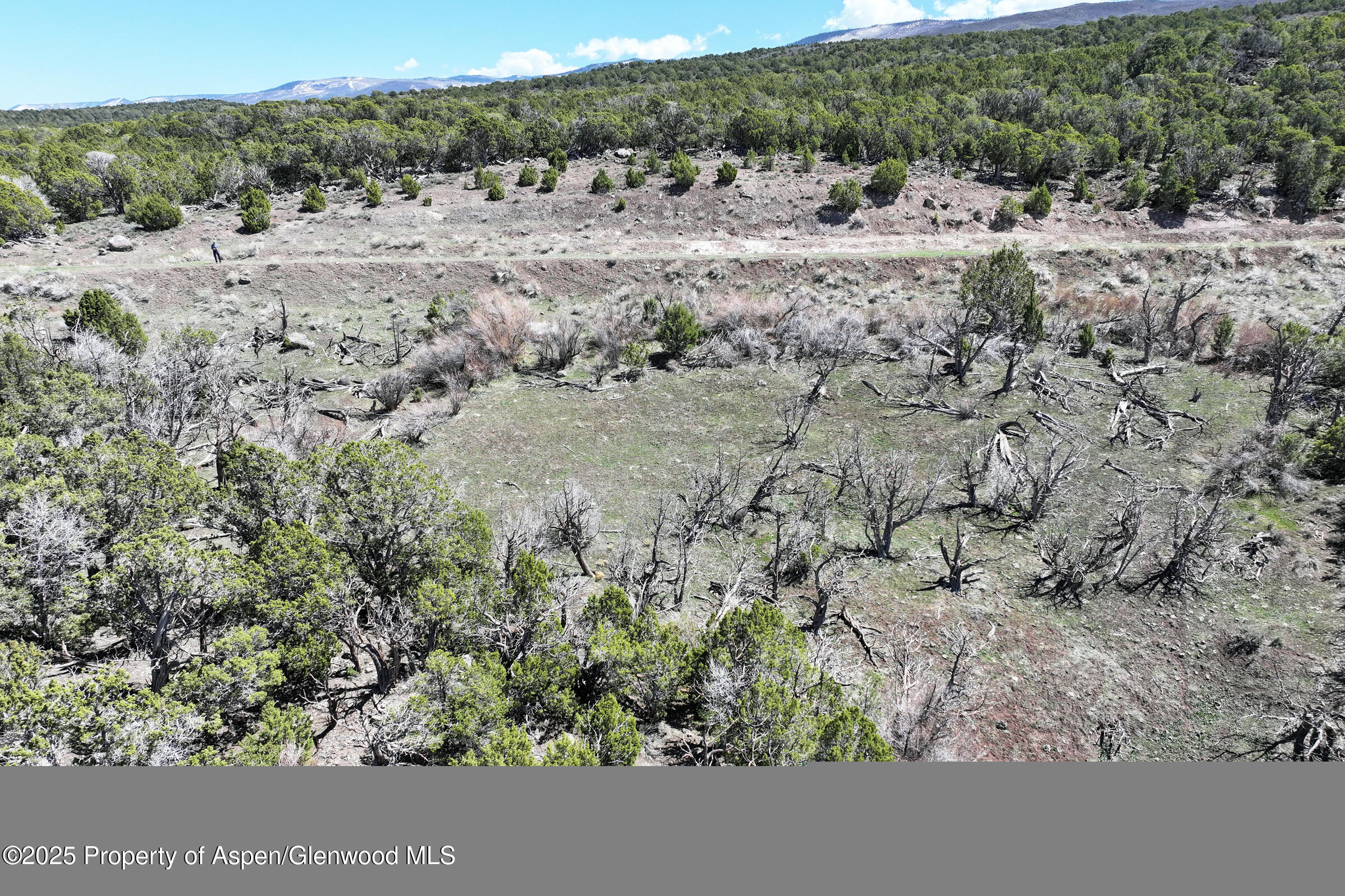 Tbd Tbd Mesa CO 81643