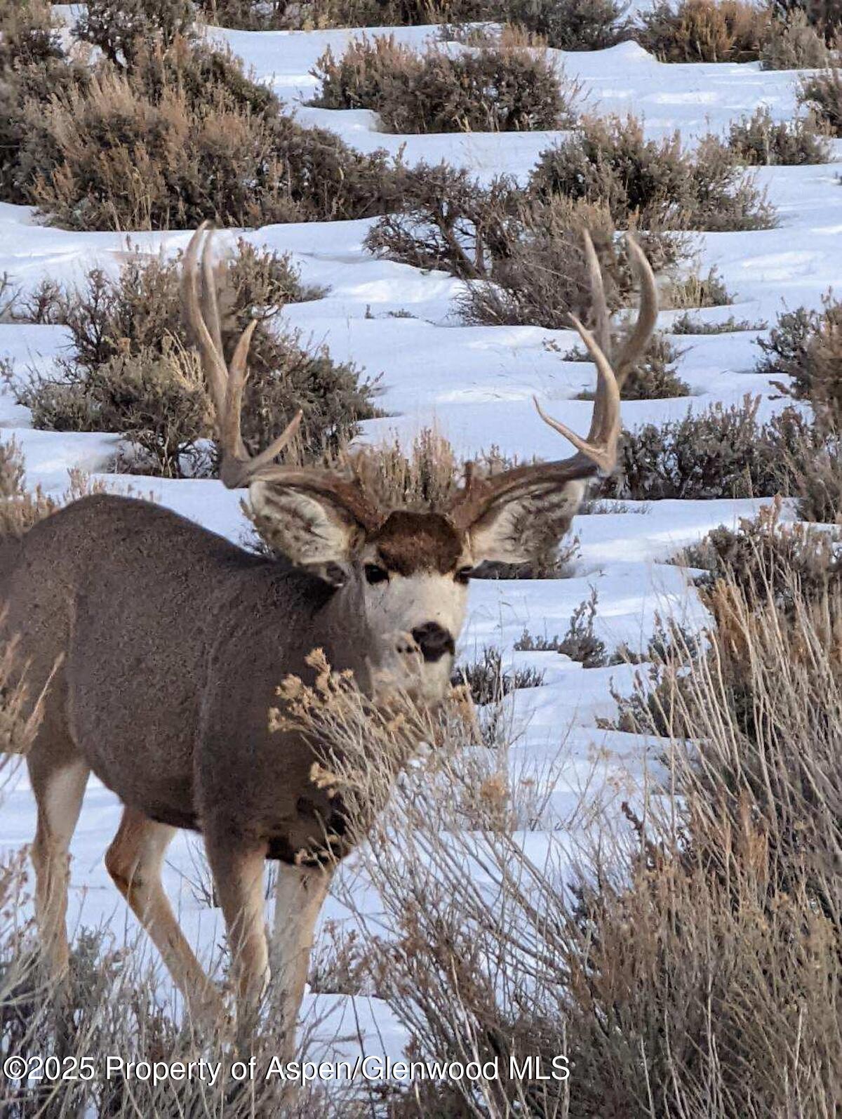 Tbd Tbd Mesa CO 81643