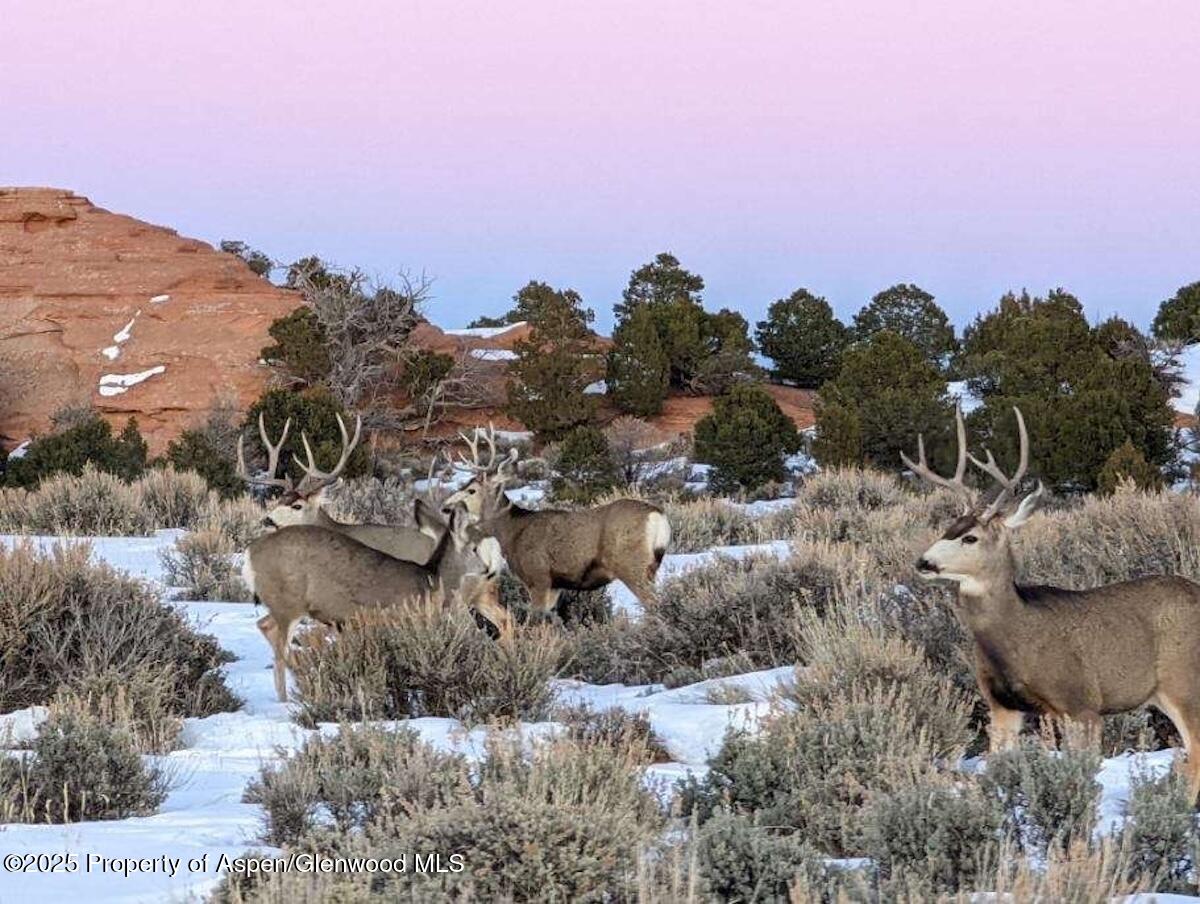 Tbd Tbd Mesa CO 81643